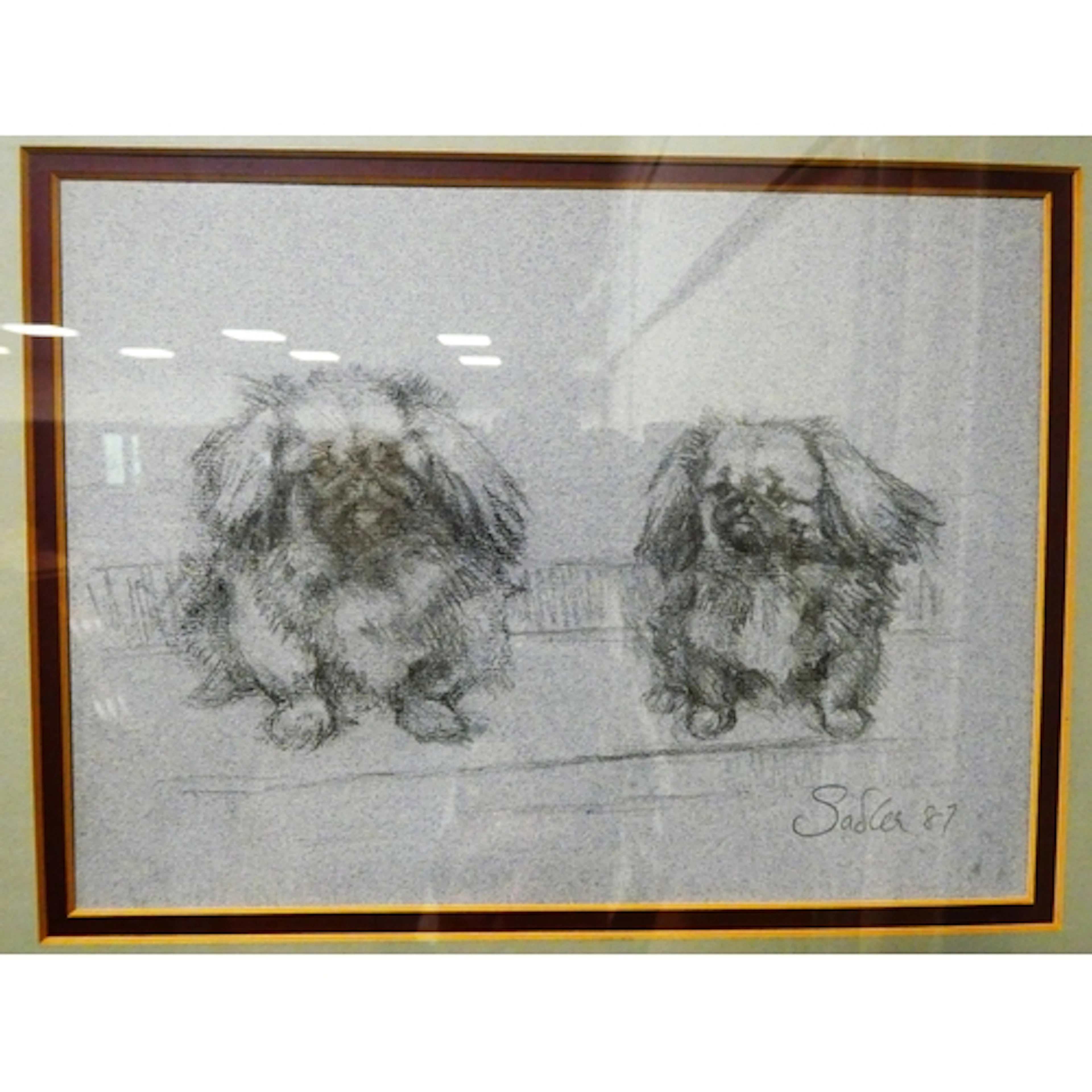VALERIE SADLER, Pekinese Dogs, Charcoal drawing.