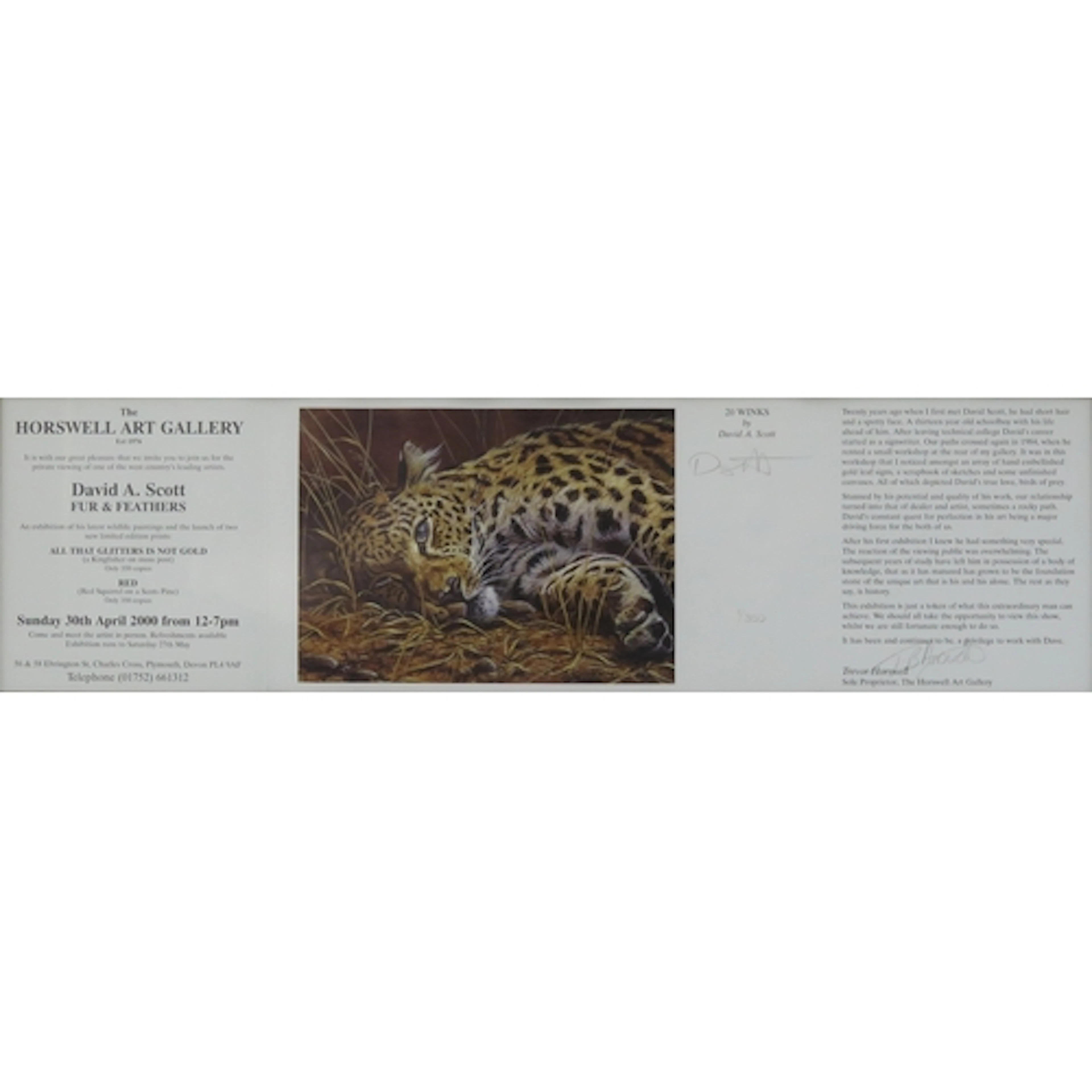 David A Scott, South West contemporary wildlife artist and p...