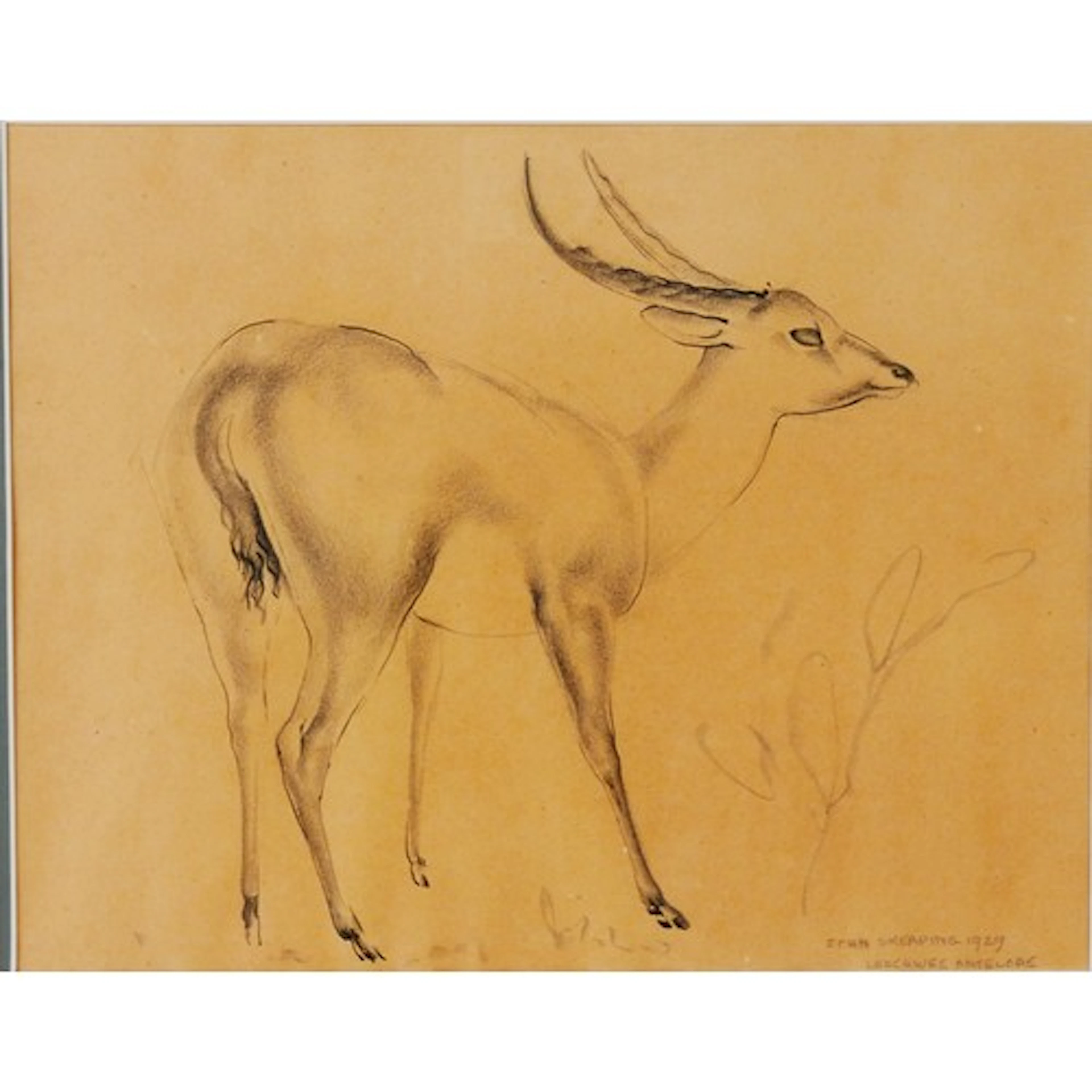 John Skeaping (British, 1901-1980): Leechwee Antelope pen an...