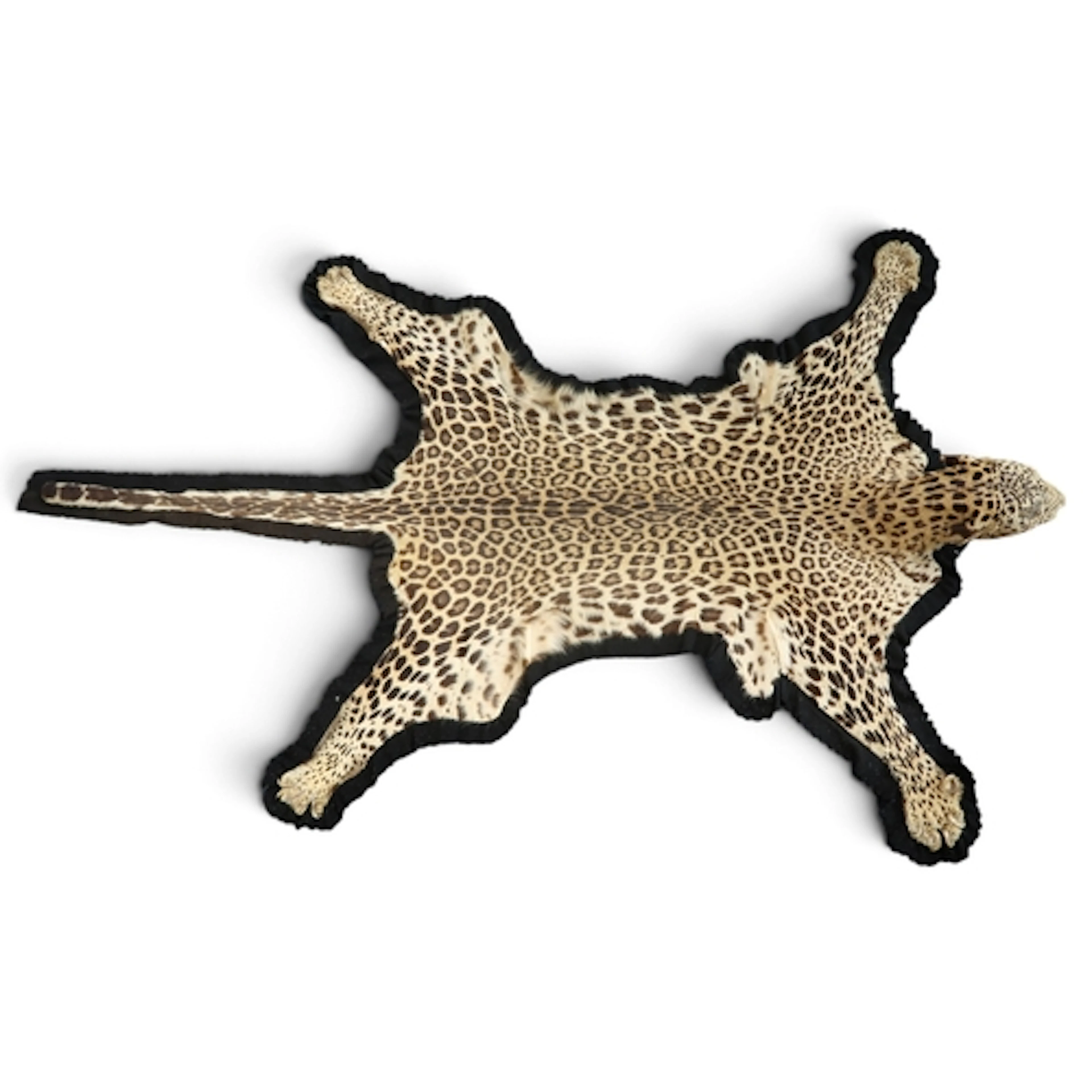 A leopard pelt with snarling taxidermy head, mounted on blac...
