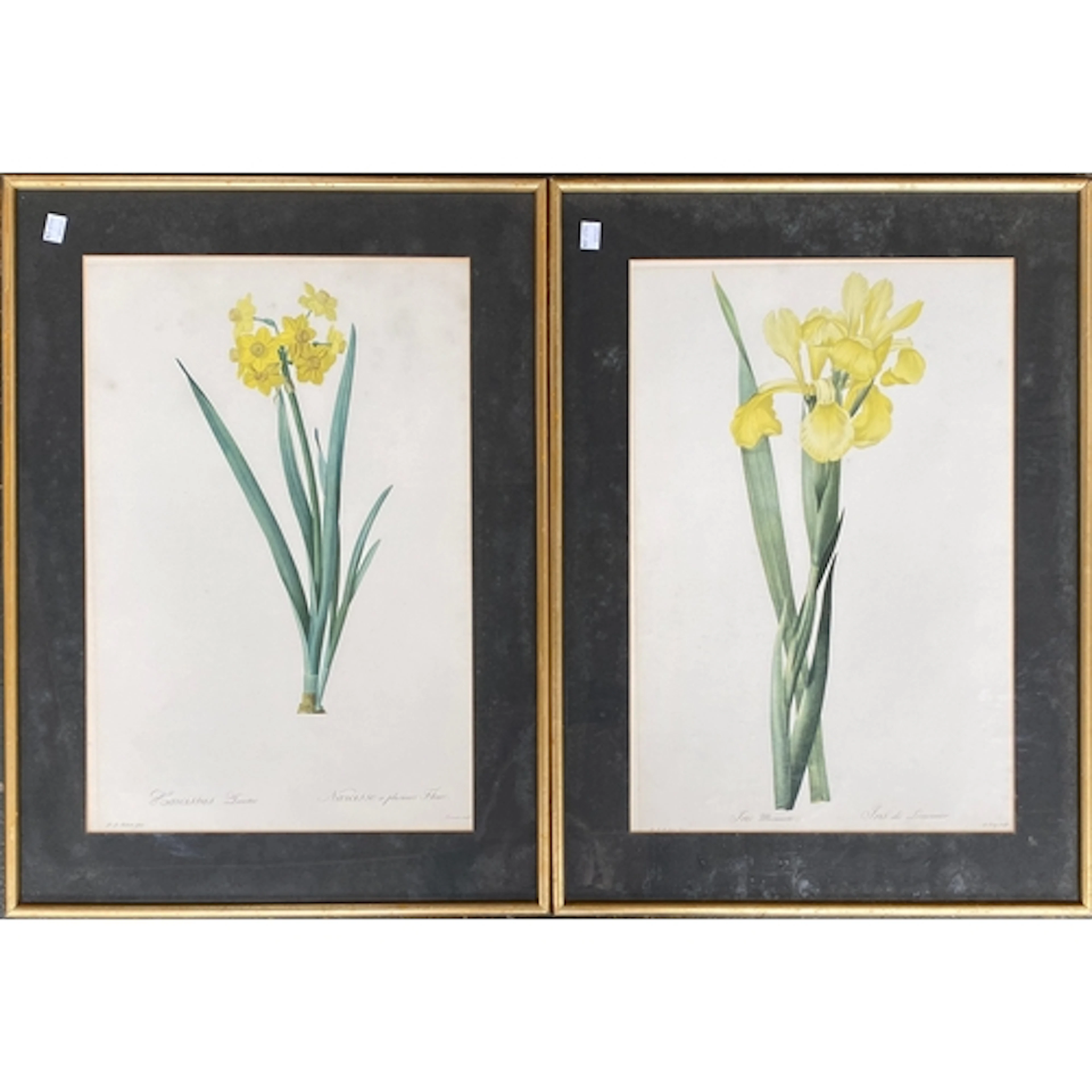 After Redoute, a pair of decorative prints 'Iris Monierri' a...
