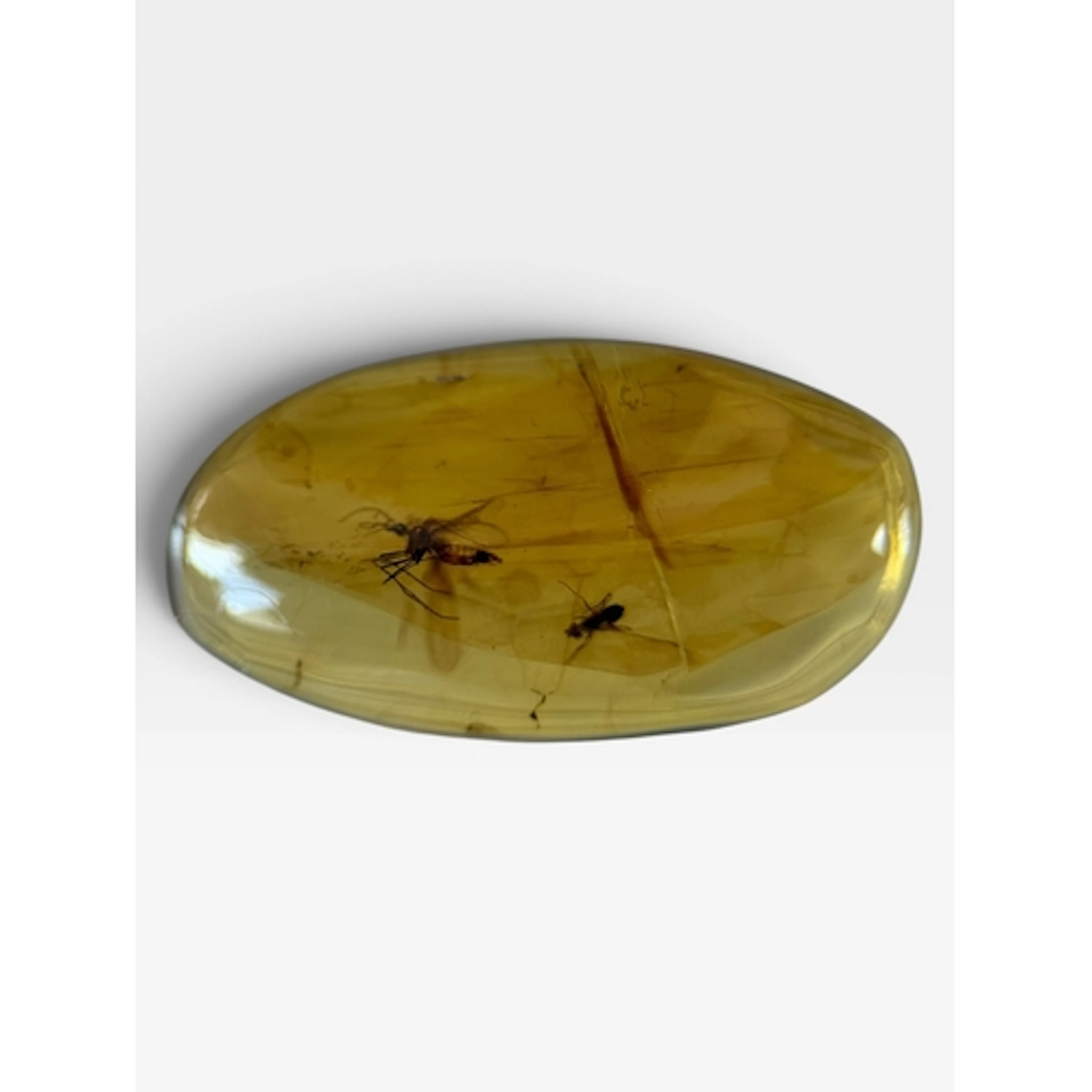 A PAIR OF FLYING INSECT FOSSILS IN AMBER A highly detailed p...