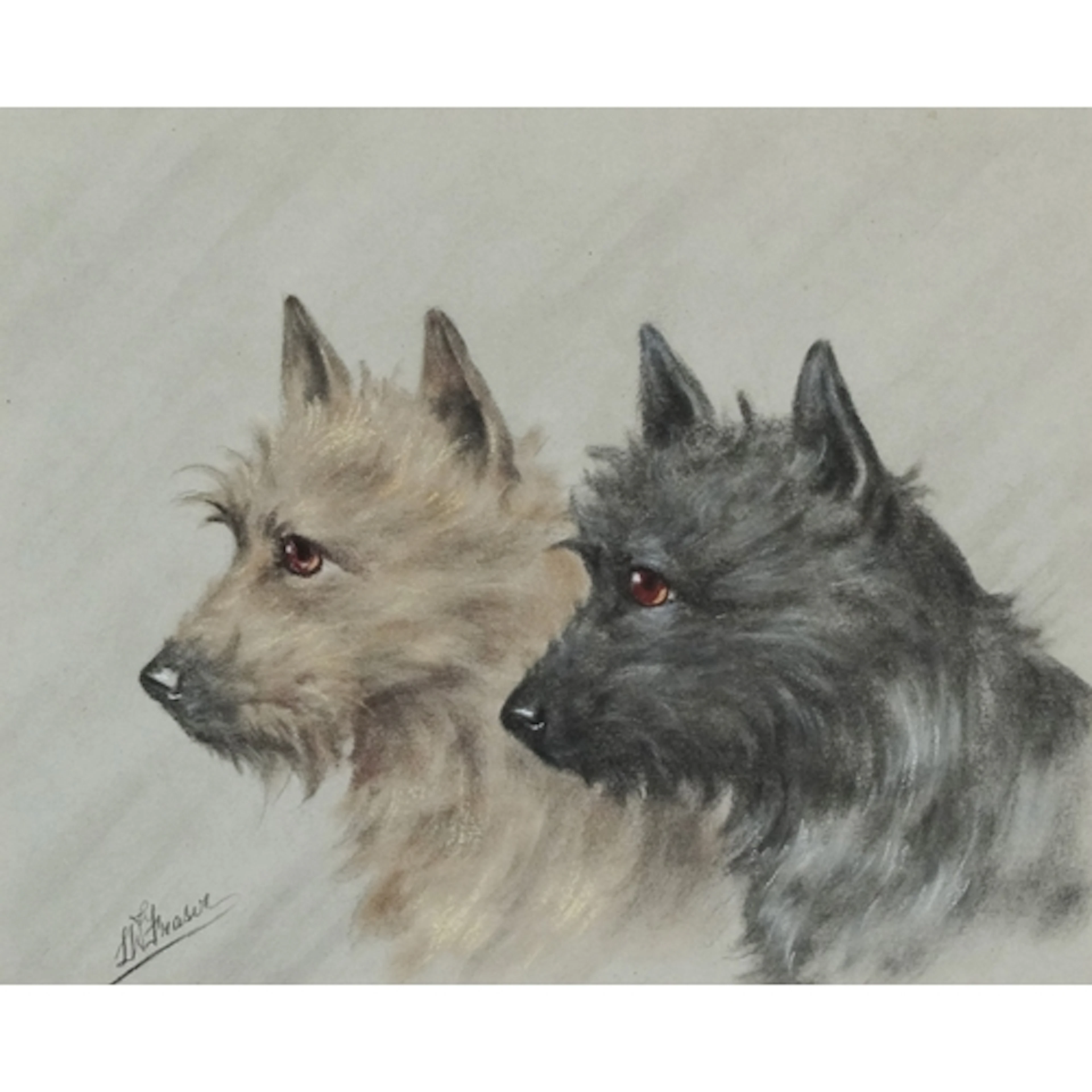 Two Terriers, pastel on paper, bearing indistinct signature,...