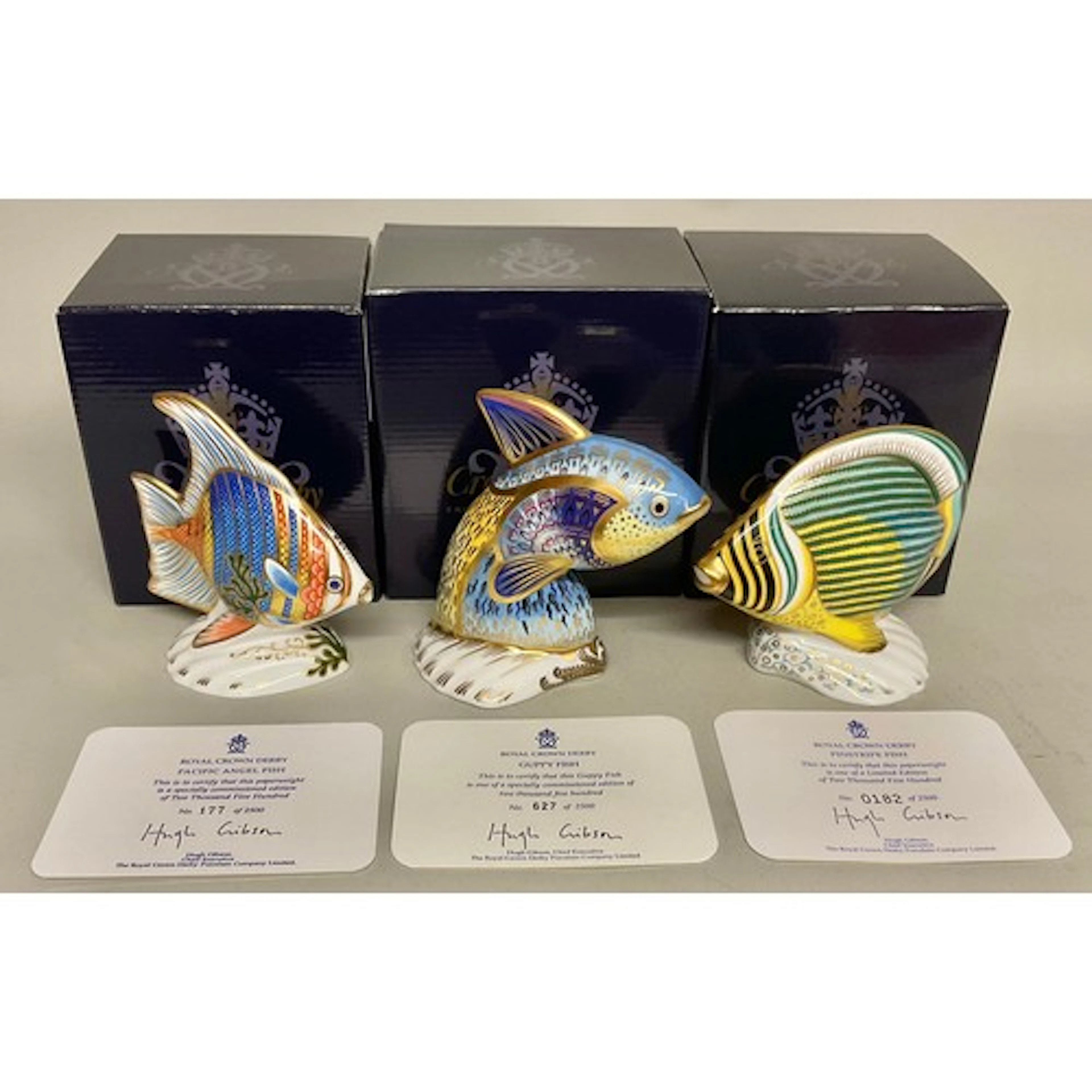 A Royal Crown Derby paperweight, Pacific Angel Fish, special...