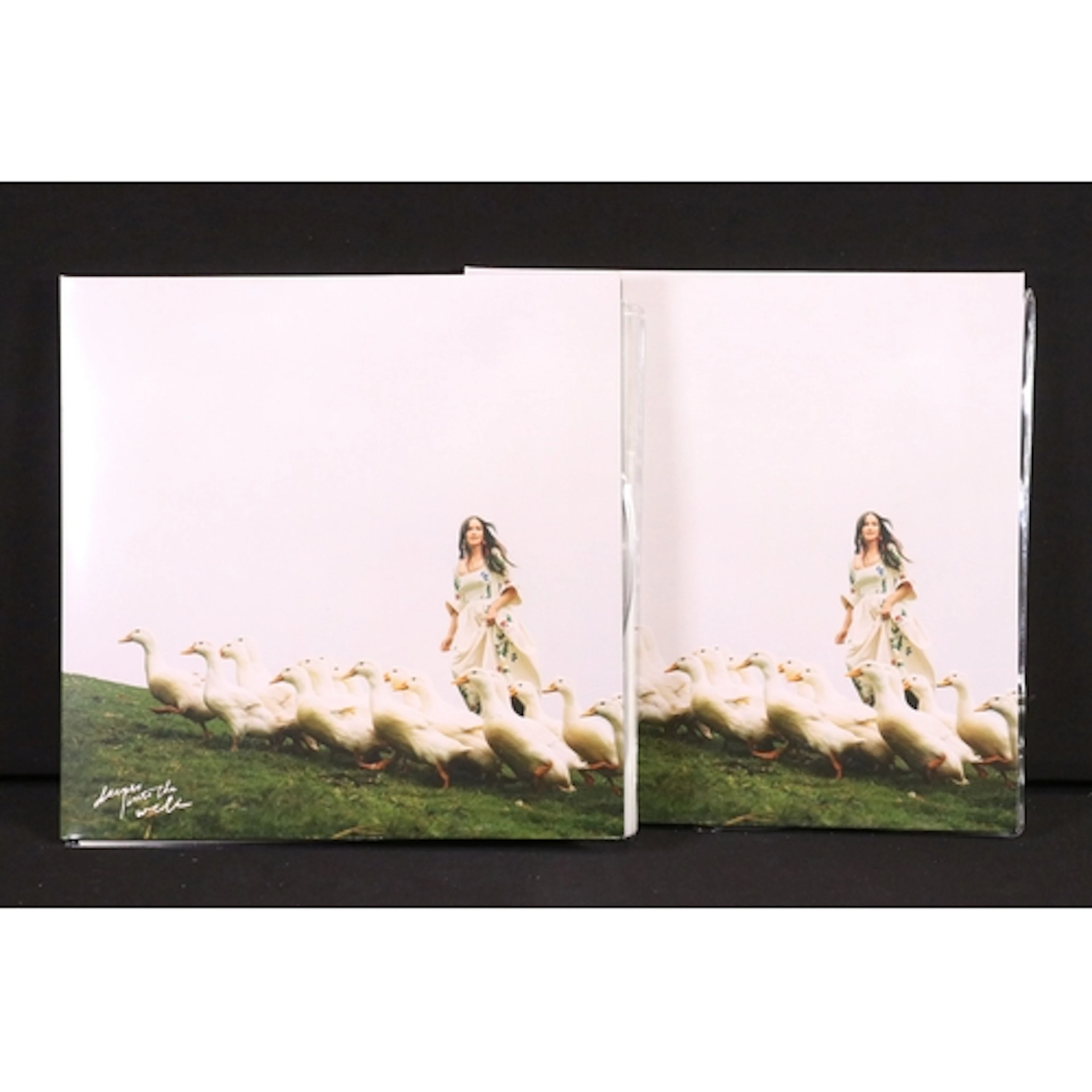Vinyl - 2 copies of Kacey Musgraves – Deeper Into The Well d...