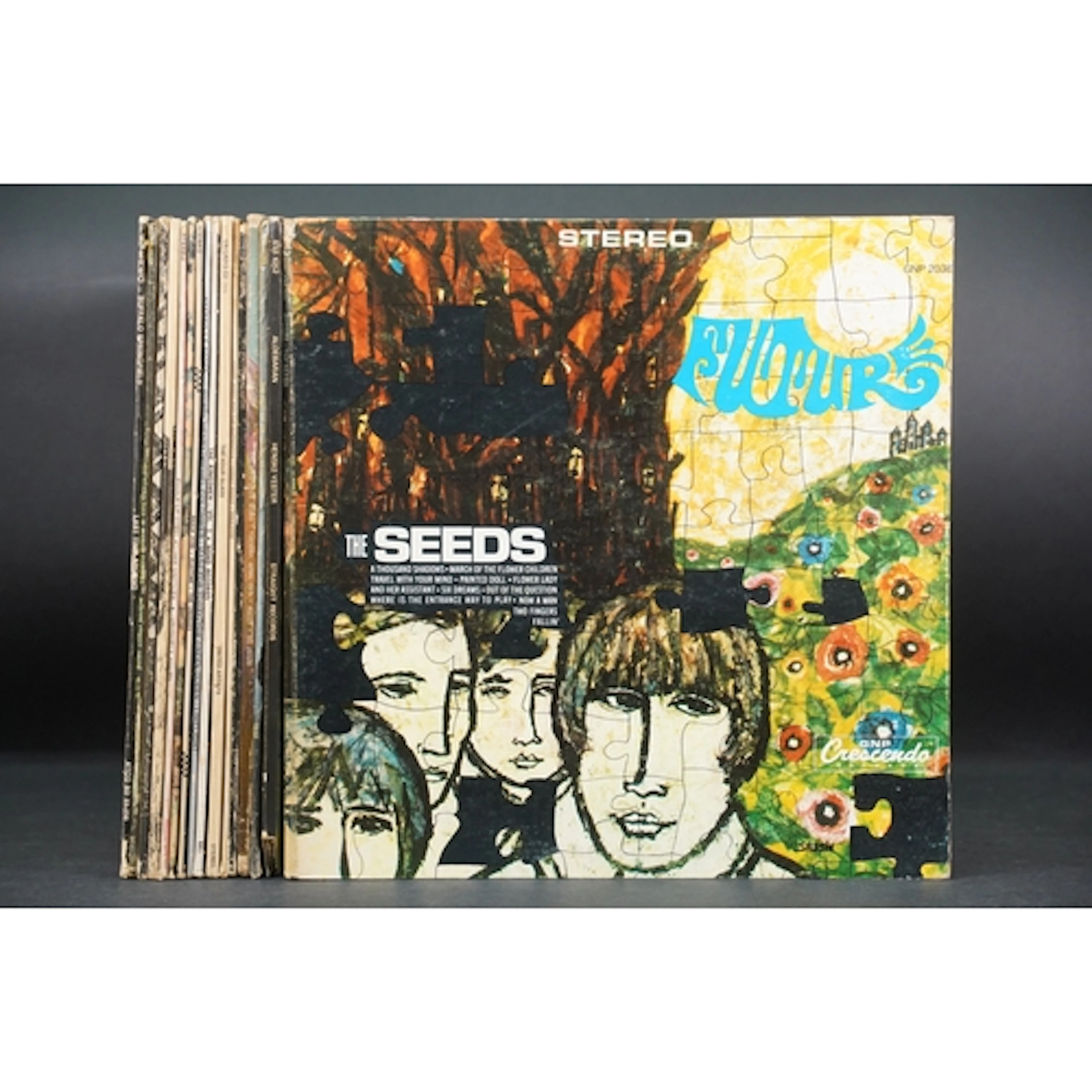 Vinyl - 16 Psych / Garage original US pressing LP’s to inclu...