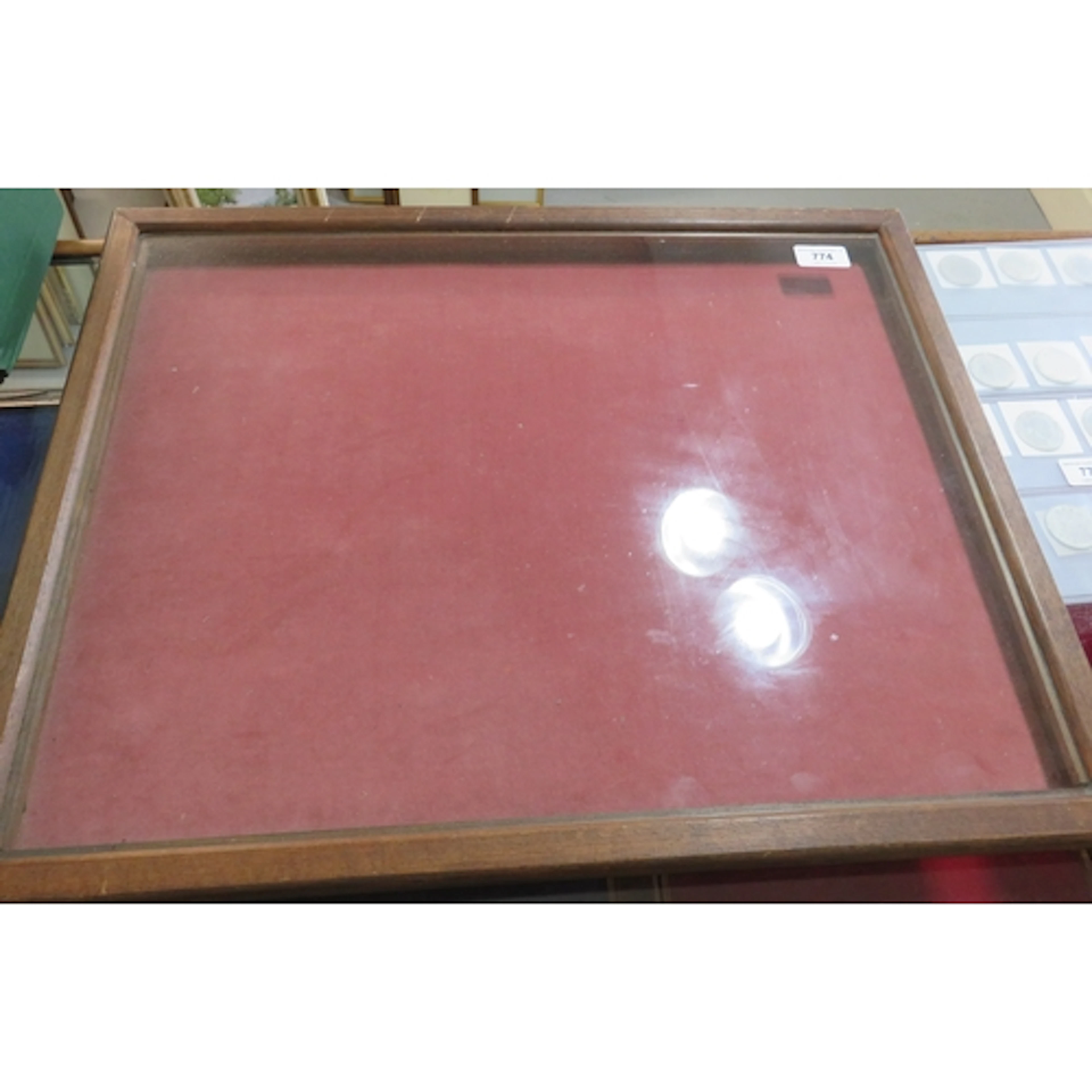 Stained beech tabletop coin collectors cabinet