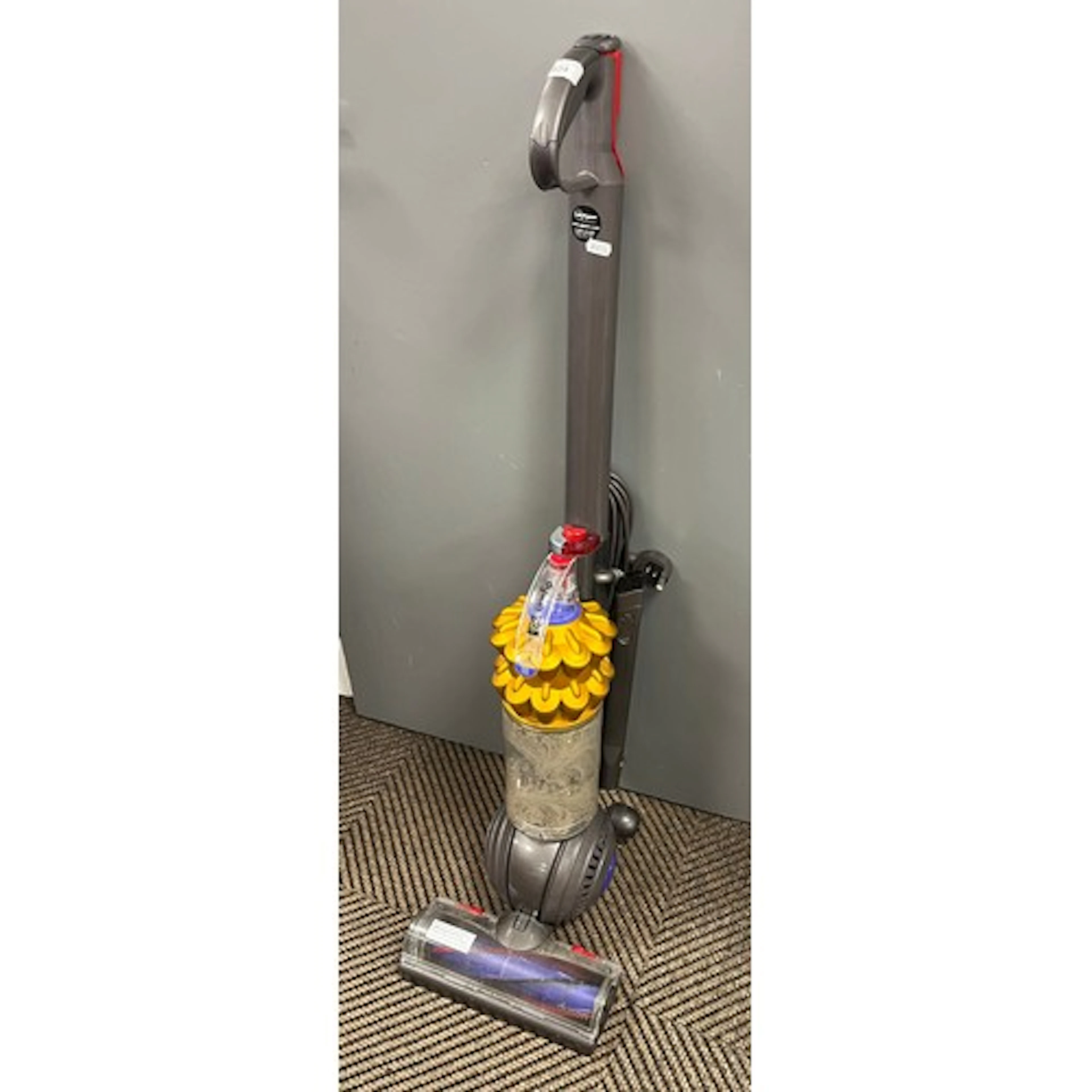 Dyson DC50 hoover.
