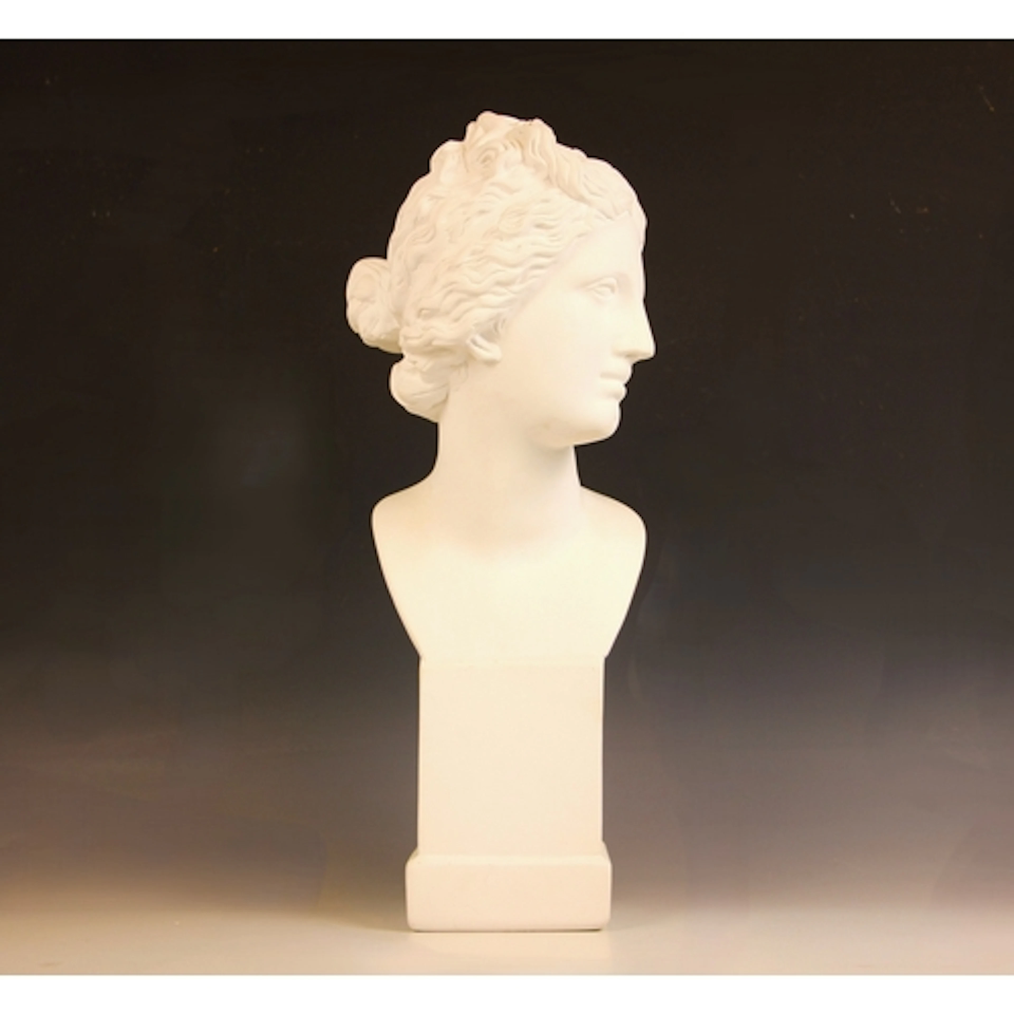 After the antique, a cast plaster replica of the head of the...