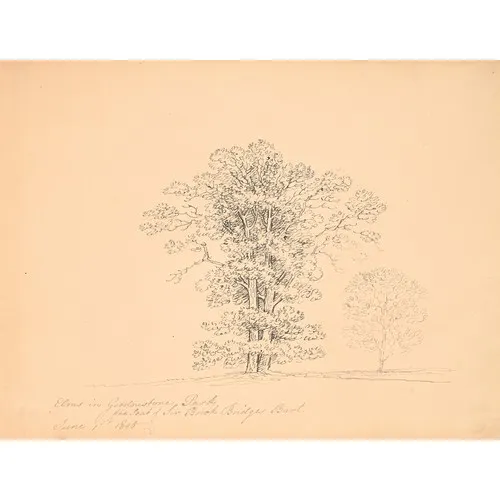 Jane Austen. English School, early 19th century - Elms in Go...