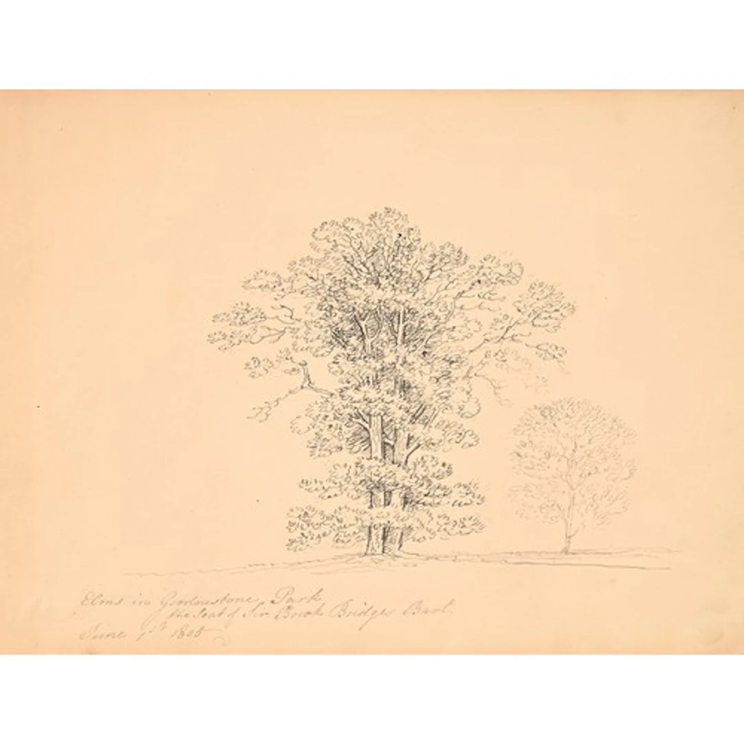 Jane Austen. English School, early 19th century - Elms in Go...