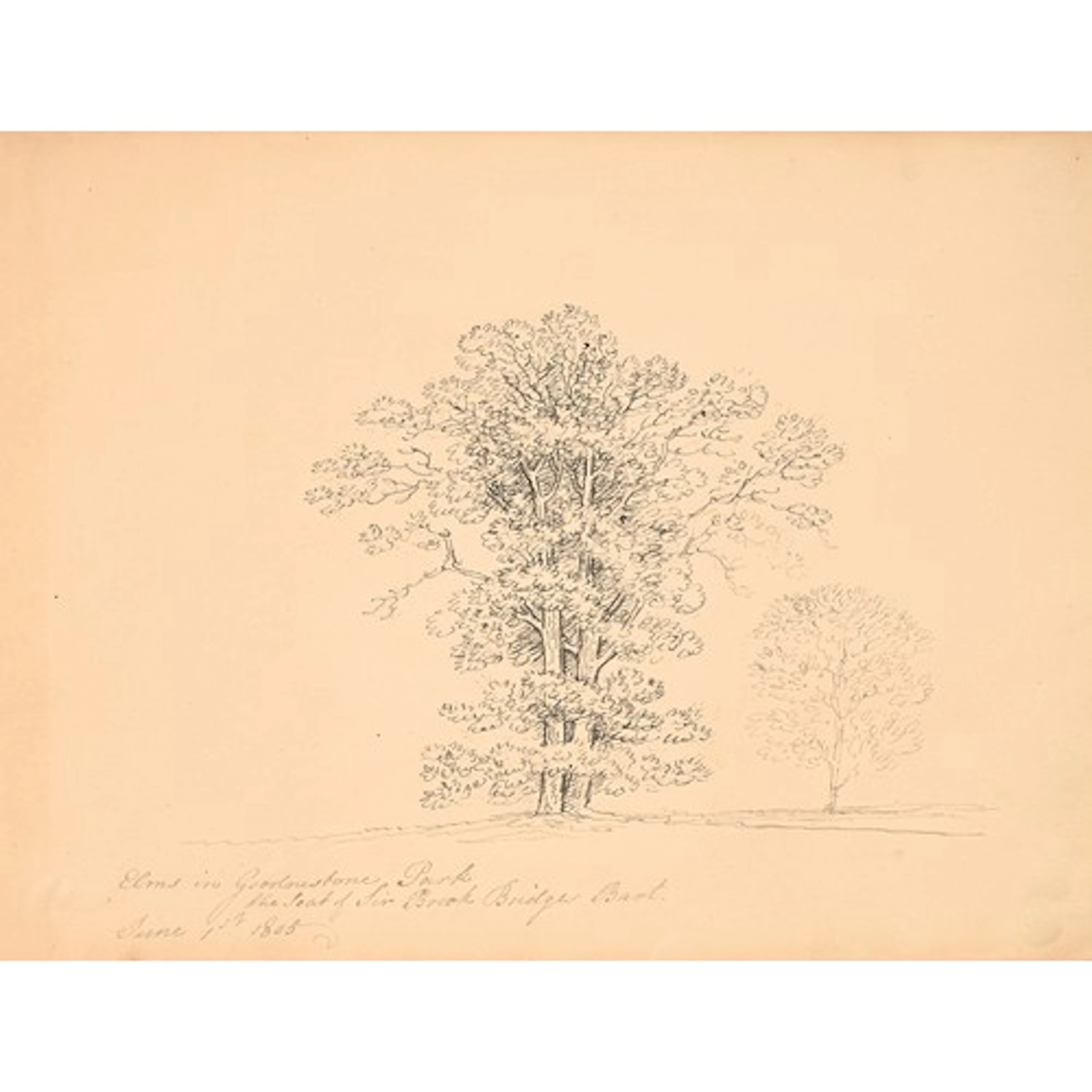 Jane Austen. English School, early 19th century - Elms in Go...
