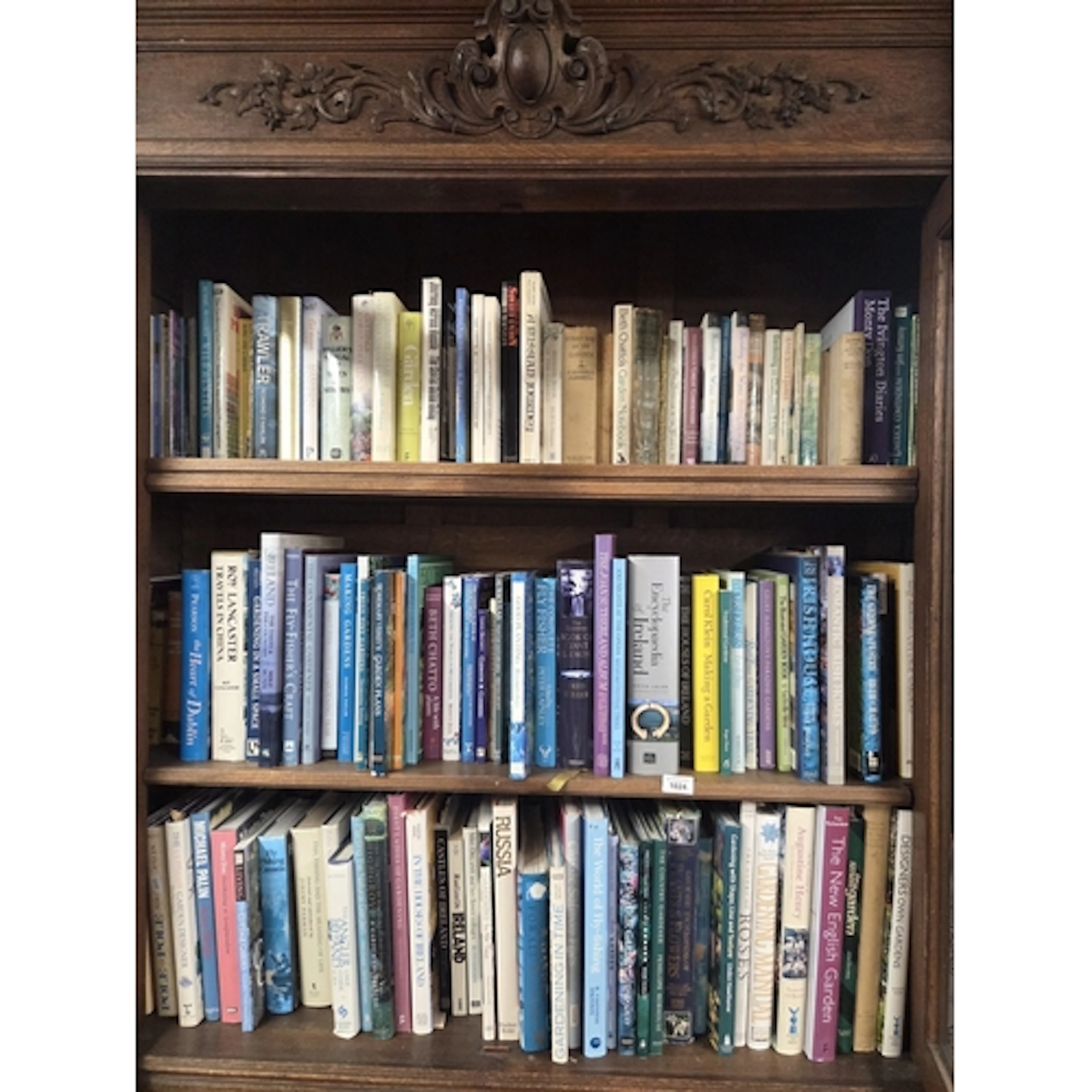 A large quantity of Books in the bookcase.