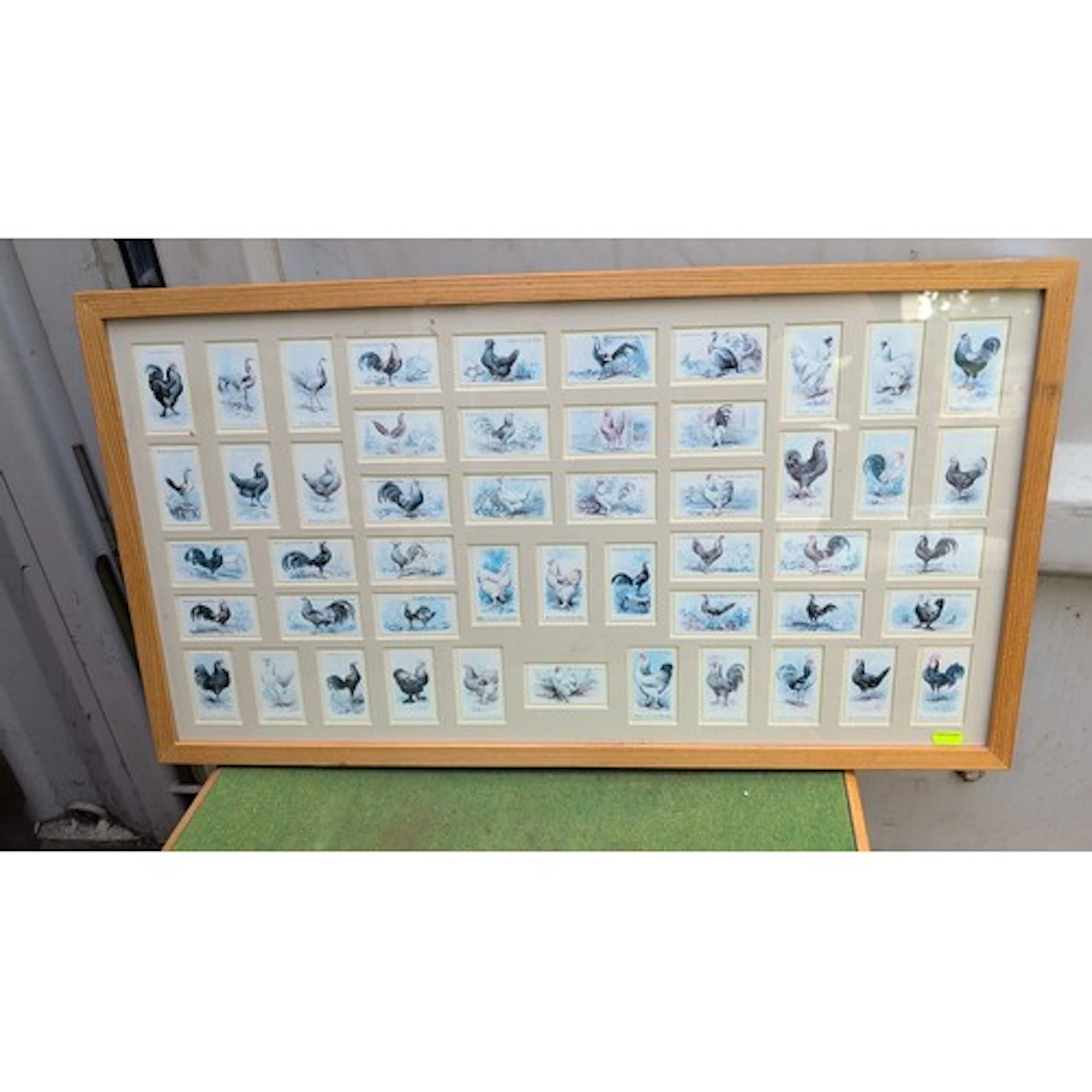 Framed and glazed collection of small colour prints depictin...