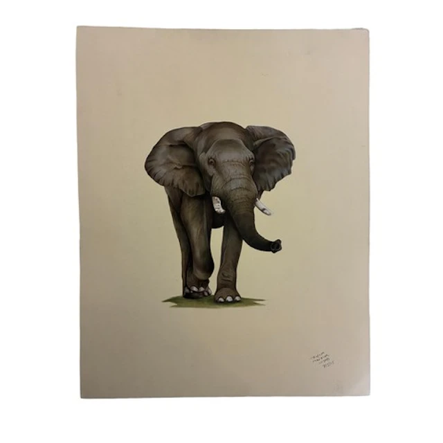 Indian School gouache painting of an elephant, inscribed 'Ra...