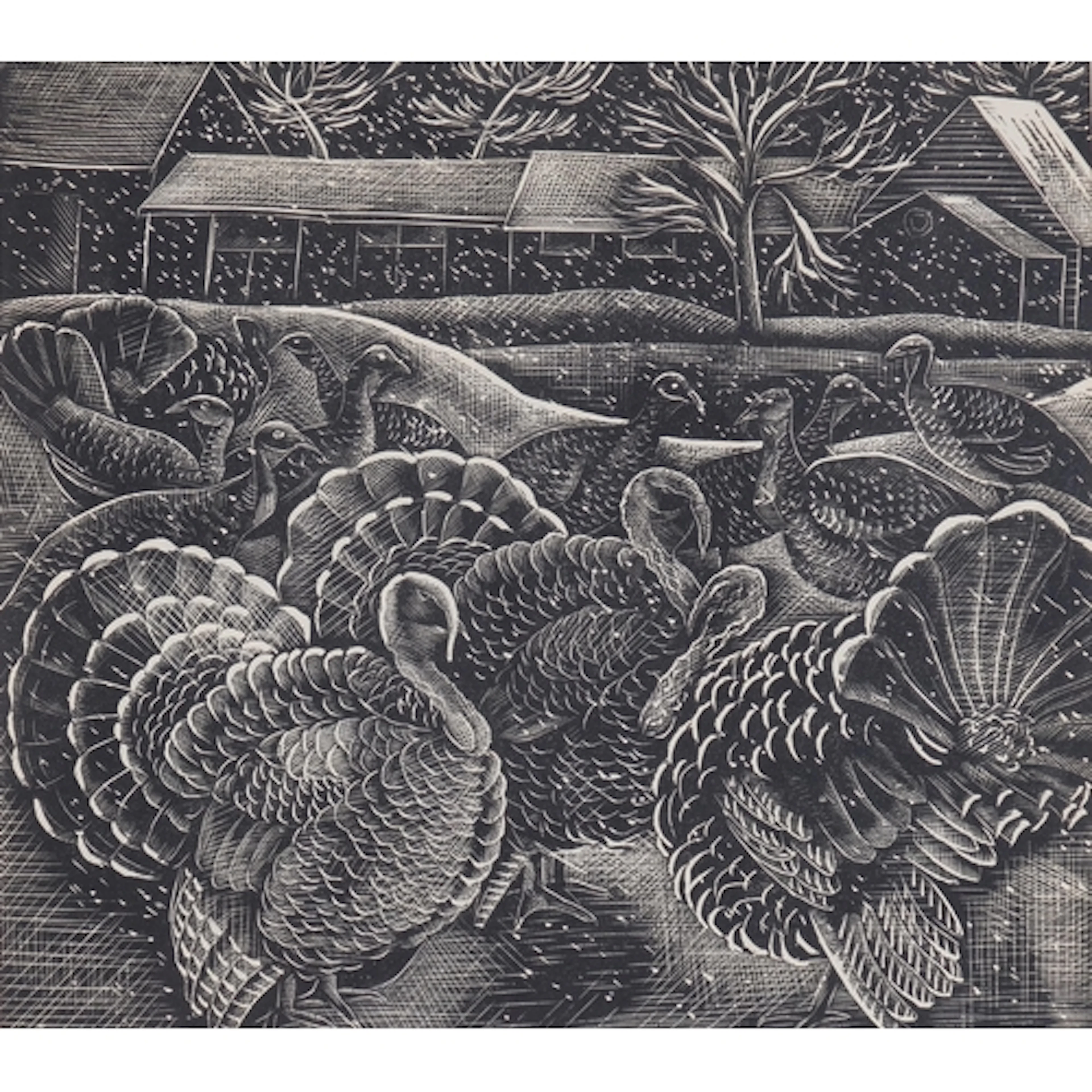 Mary Groom (1903-1958), wood engraving on paper, Turkeys in ...