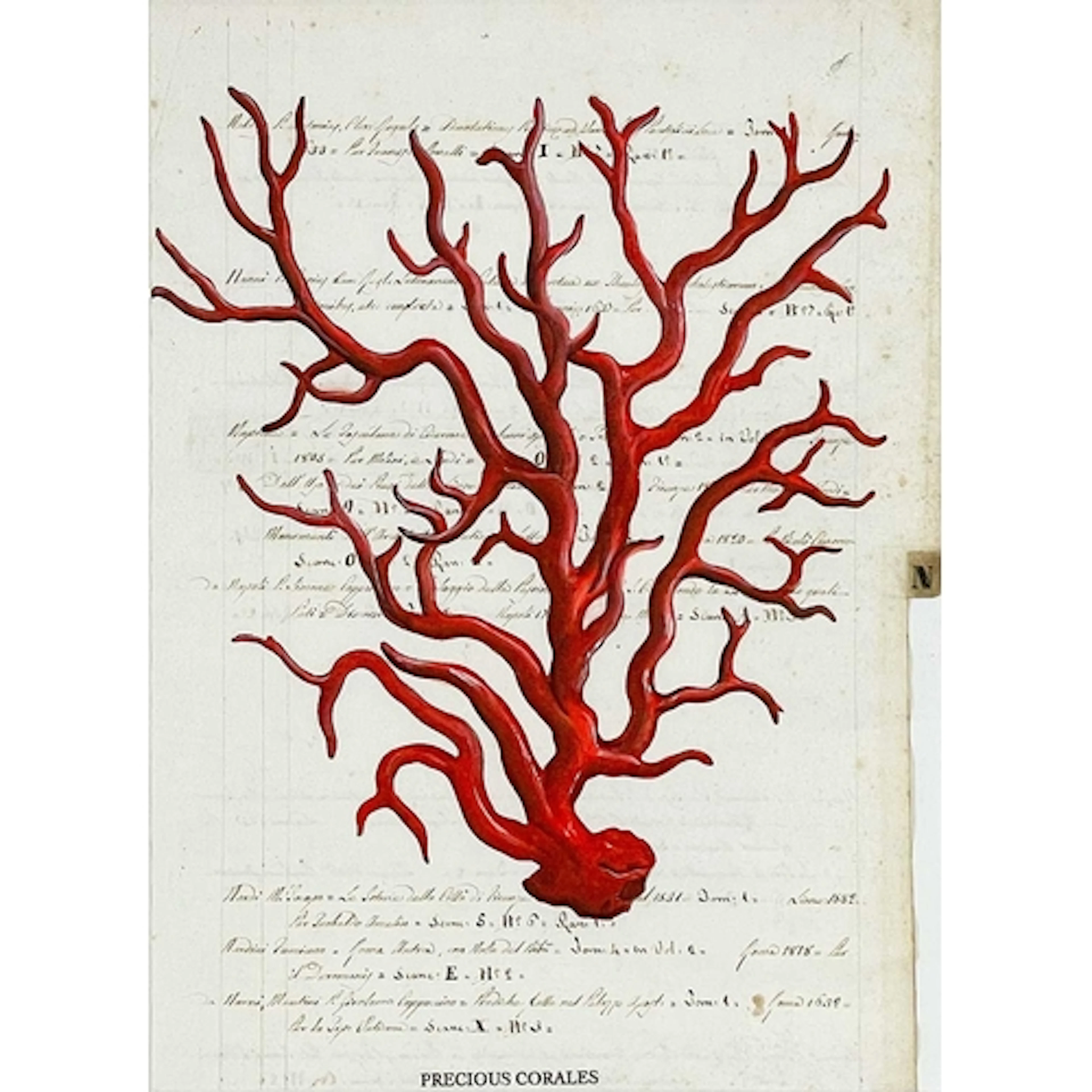 A 19th century Italian ink inscribed manuscript, print overl...