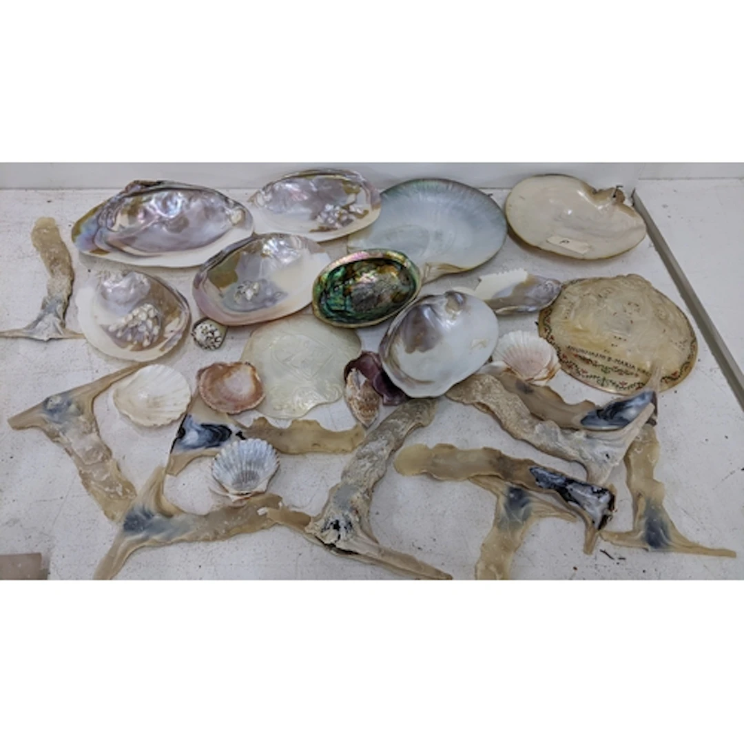 A large collection of sea shells to include carved mother of...
