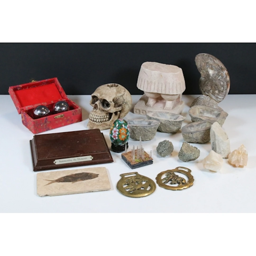 Collection of fossils and stones to include a fossilised fis...