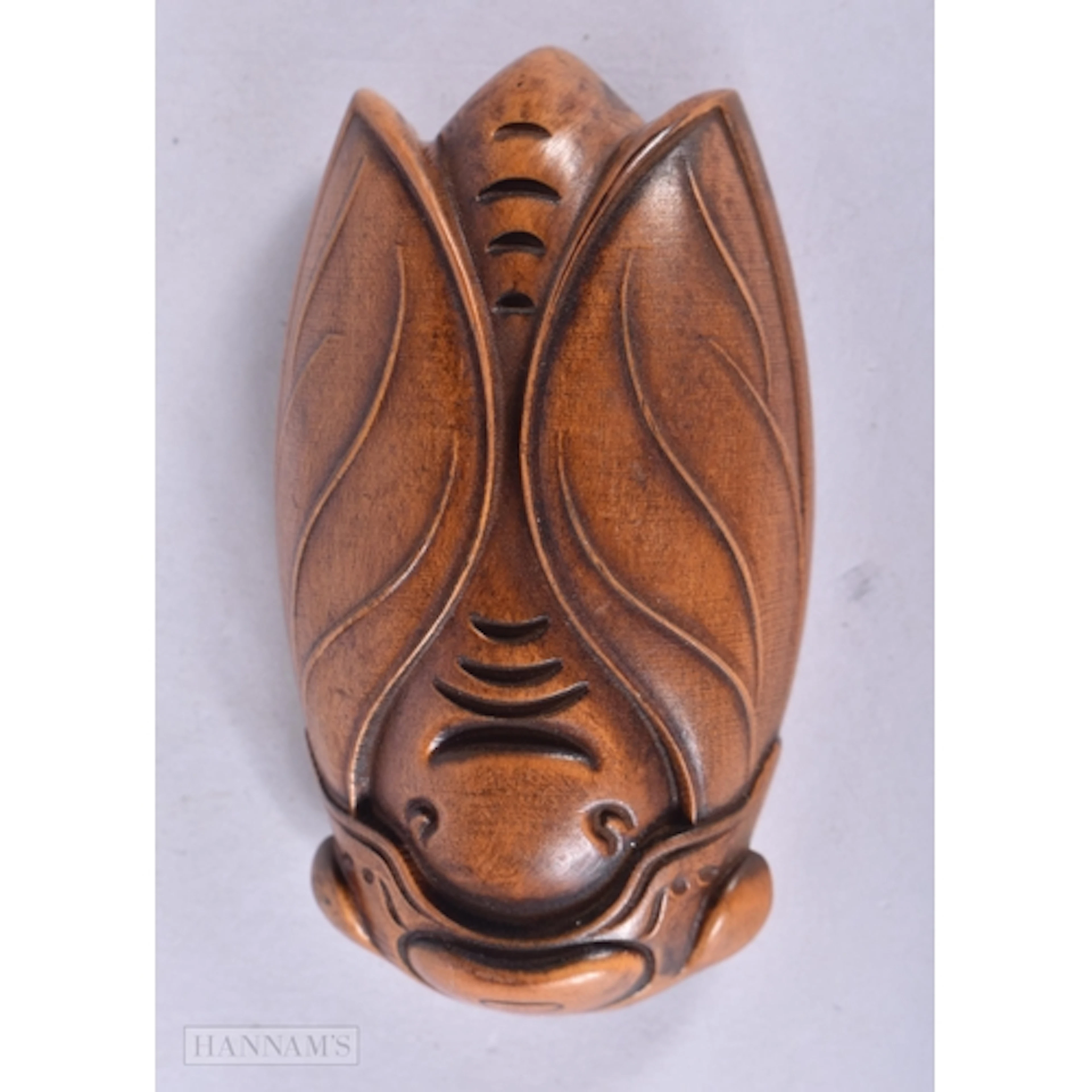 A JAPANESE CICADA FLY. 7 cm x 4 cm.