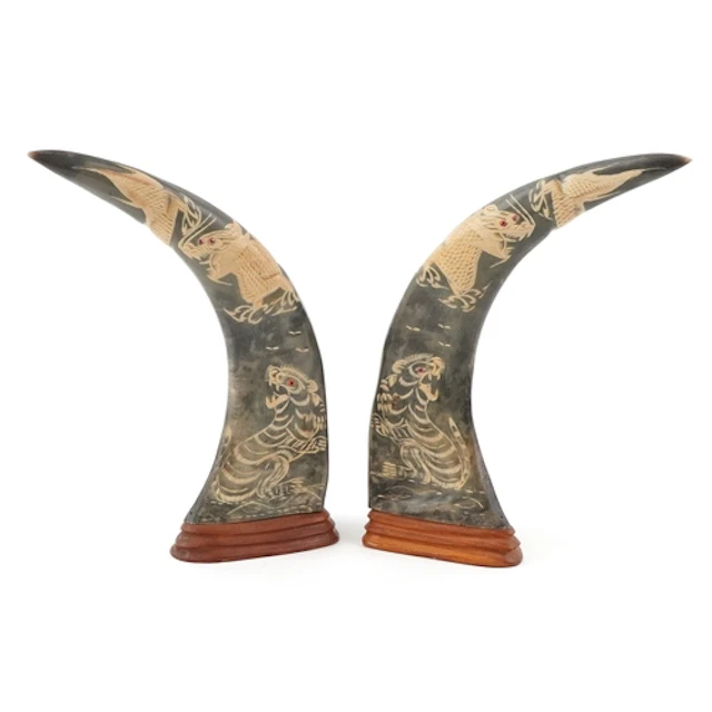 Pair of Chinese water buffalo horns carved with dragons and ...
