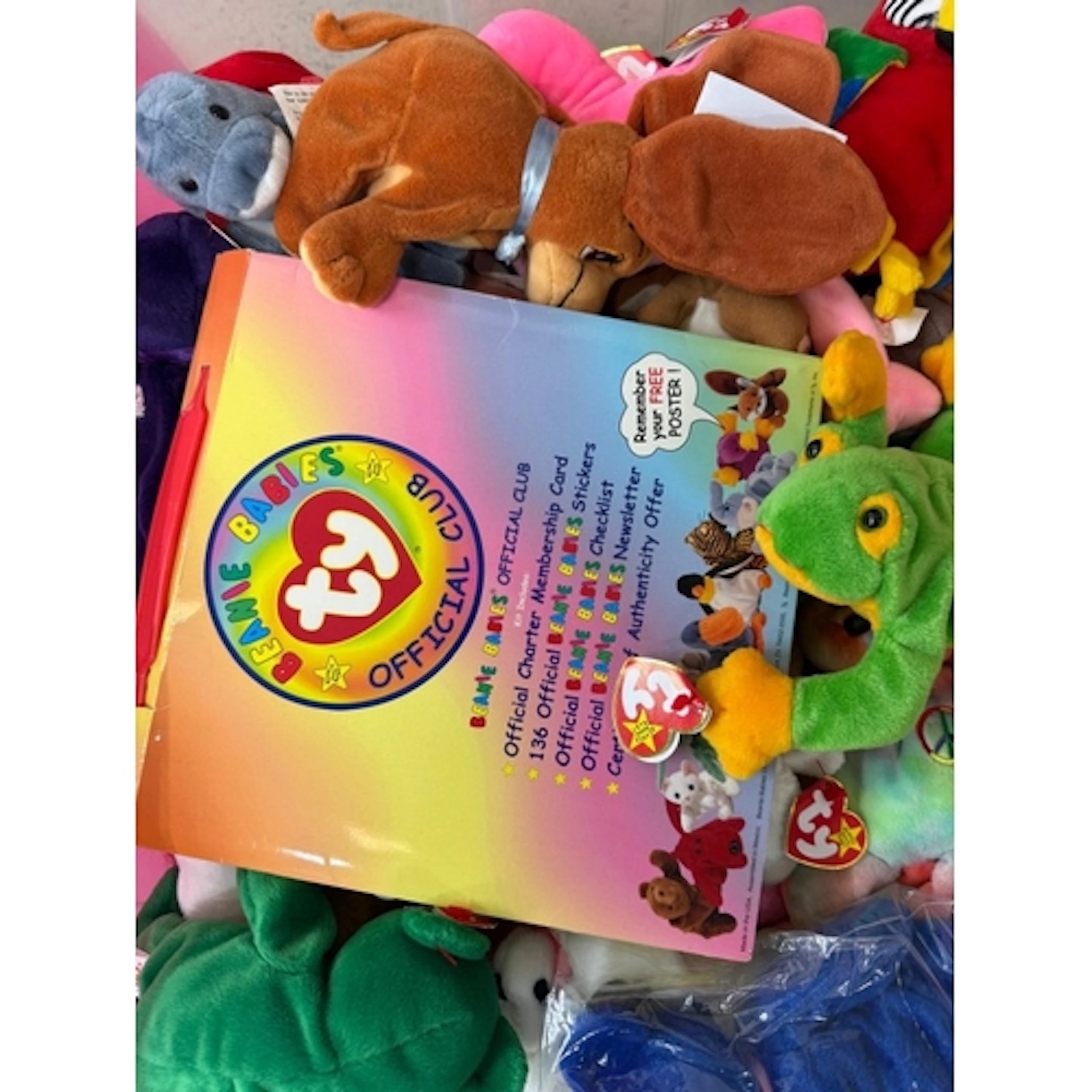 A large quantity of TY Beanie Babies.