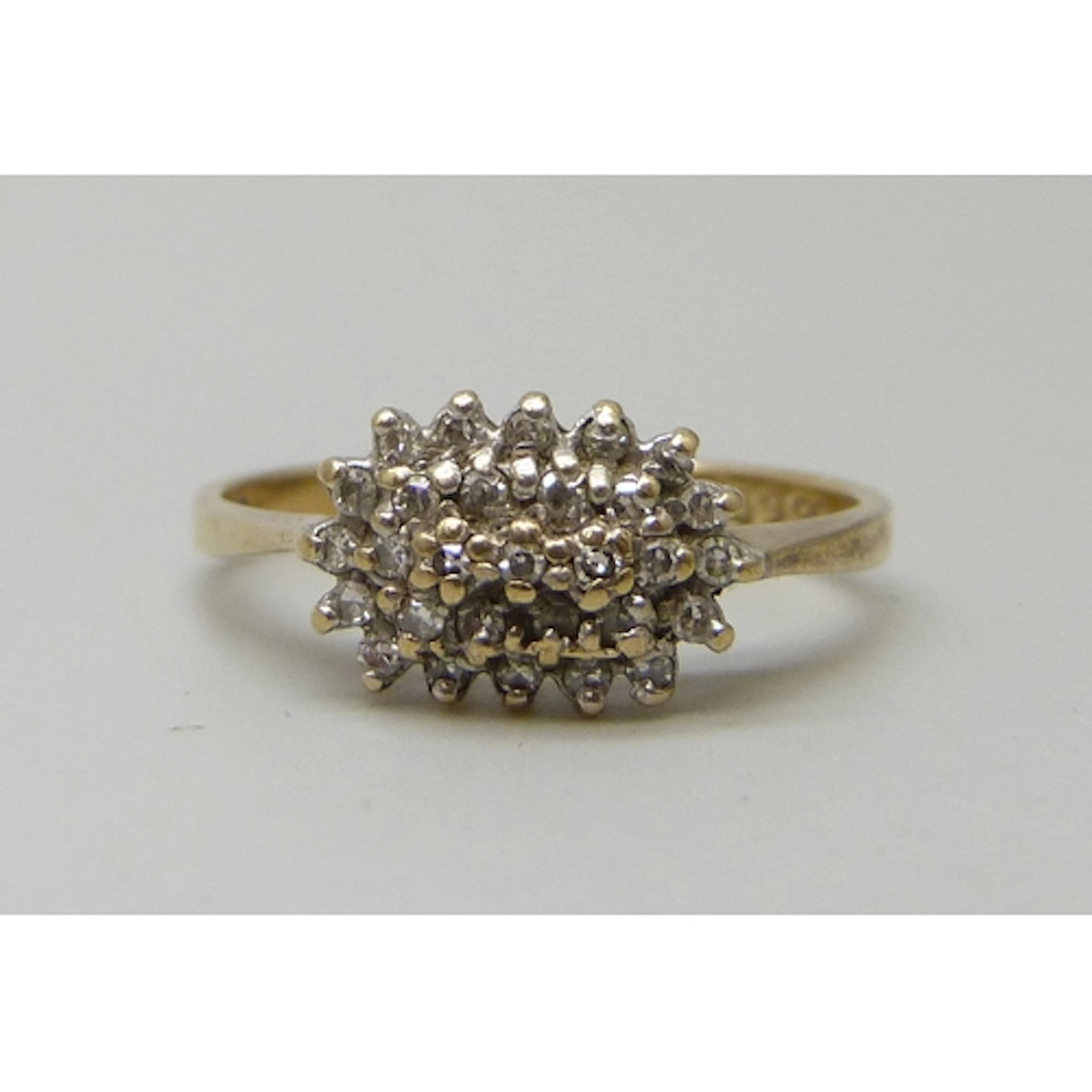 A 9ct gold diamond cluster ring, 2.4g, M/N