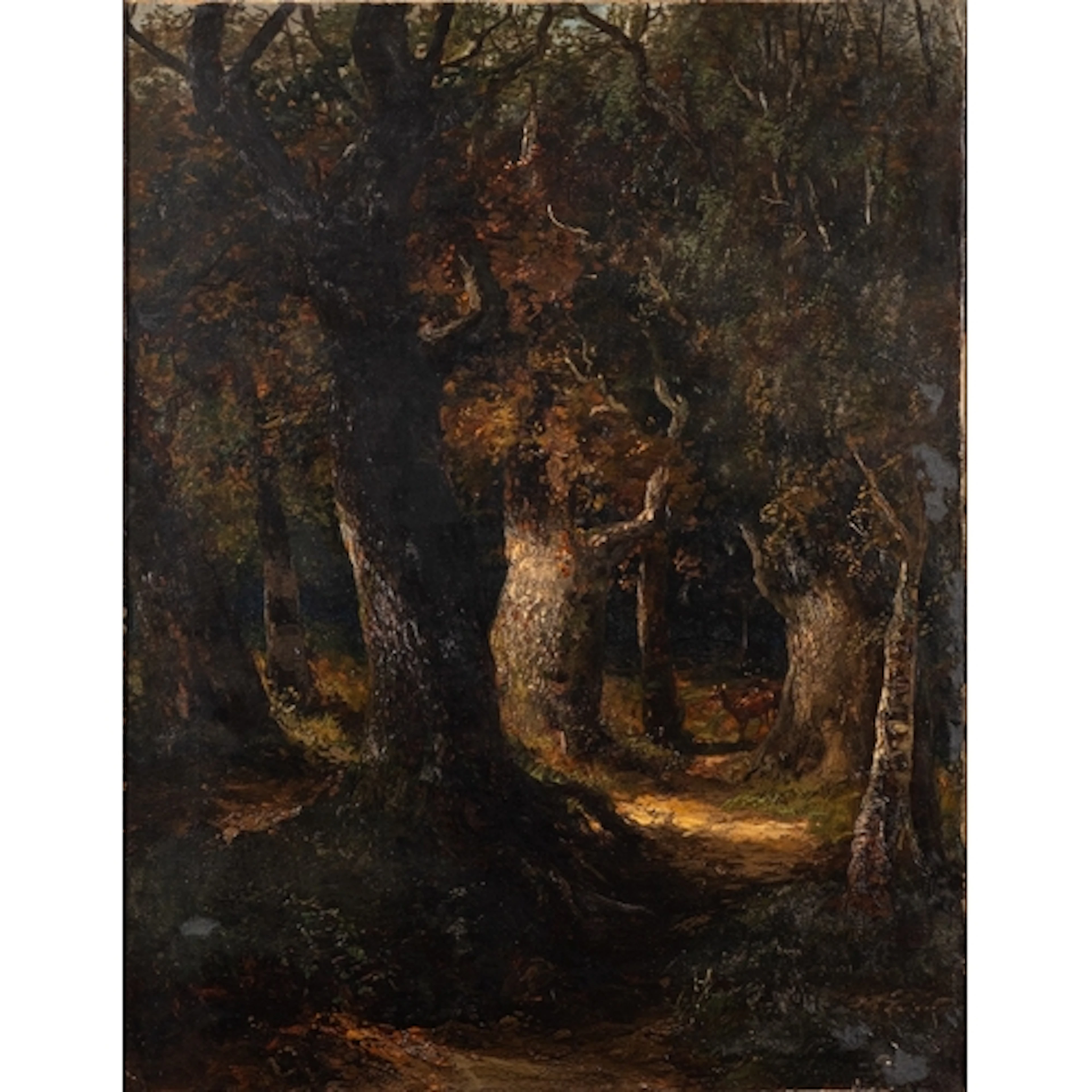 Clarence Roe (British, 1850-1909) - Deer by a sunlit glade i...