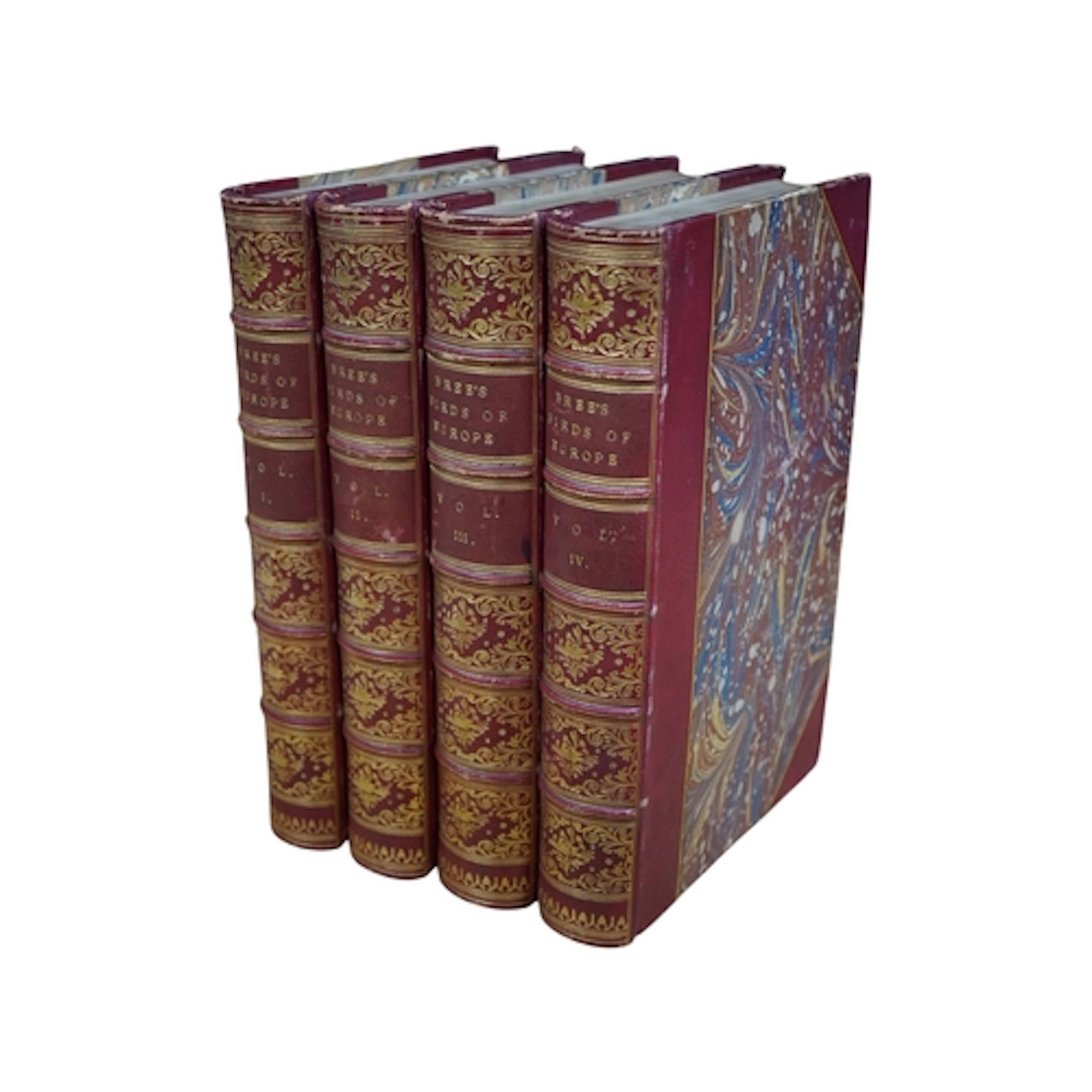 ° ° Bree, Charles Robert. A History of the Birds of Europe, ...