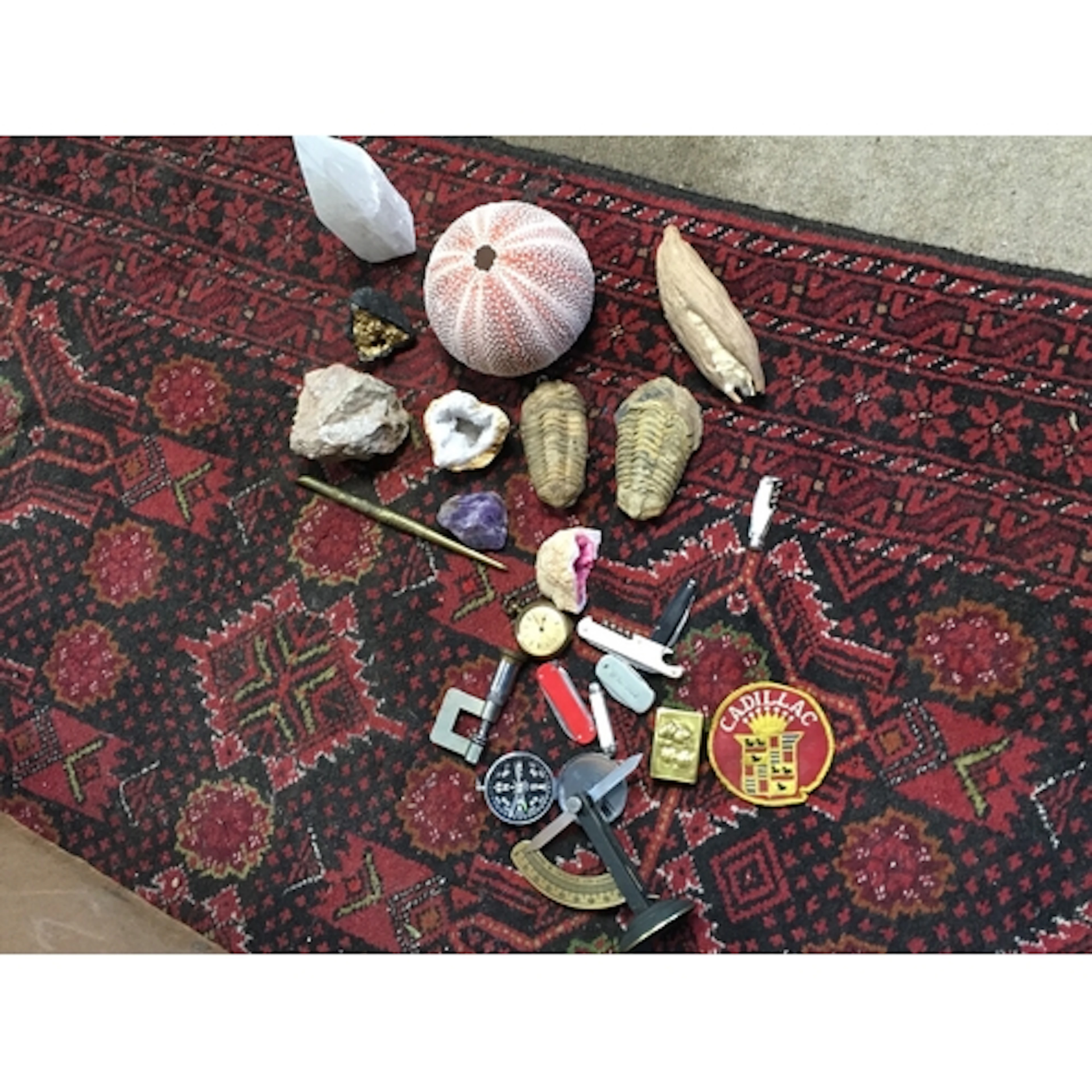 a collection of sea shells, fossils , pen knives etc