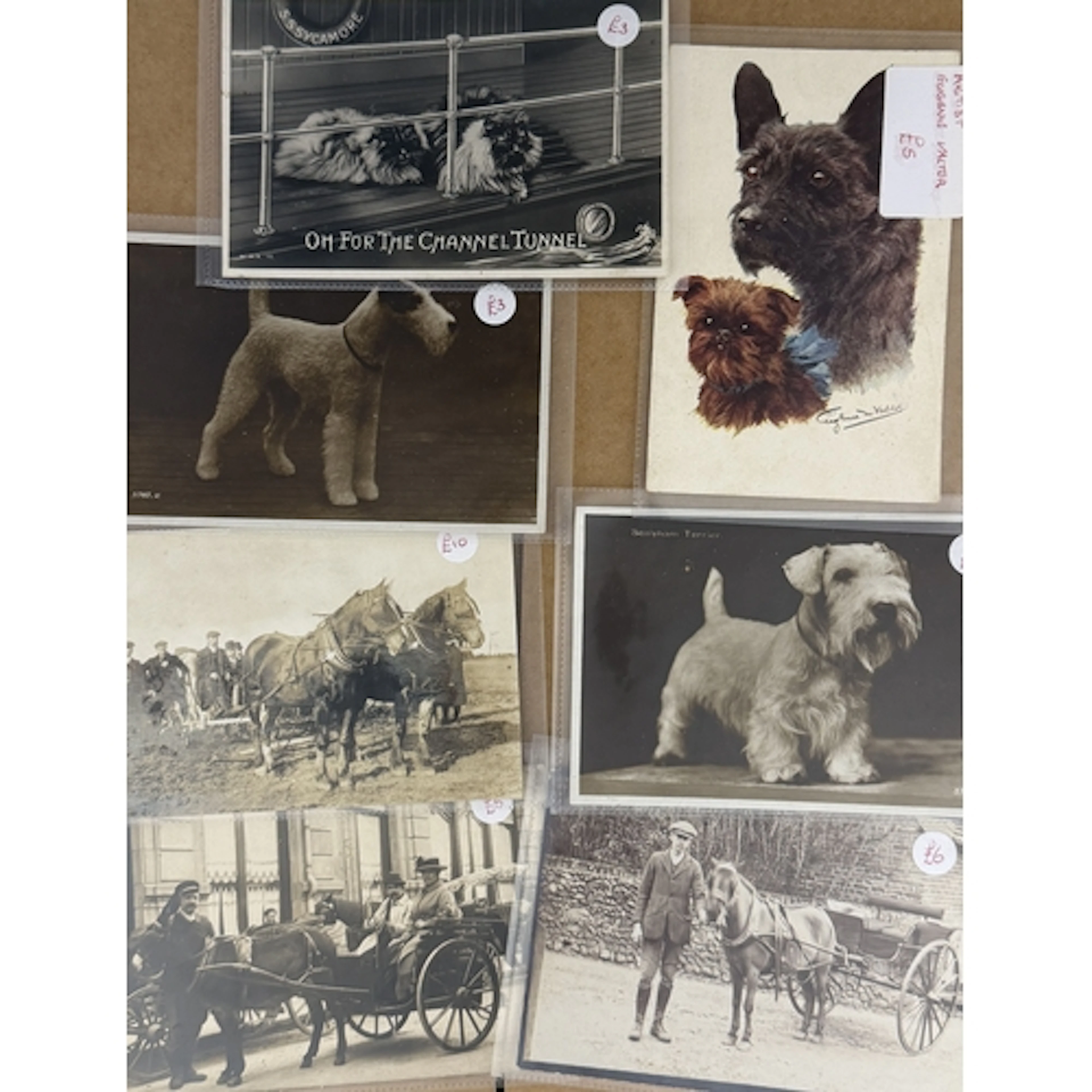 Ex-dealer stock of animal postcards, comprising approx. 300 ...