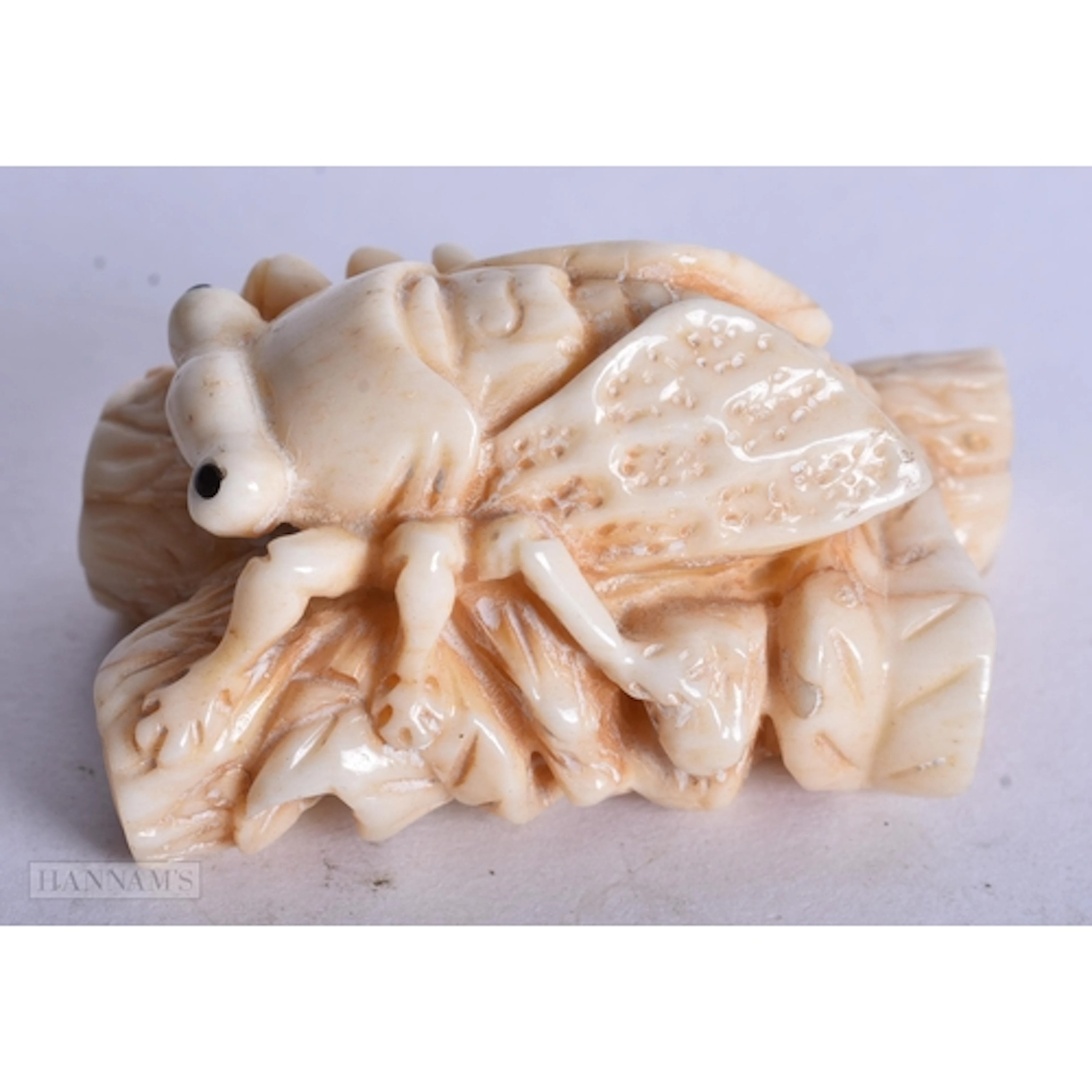A BONE CICADA FLY NETSUKE. 2.6 x 5 x 3 cm