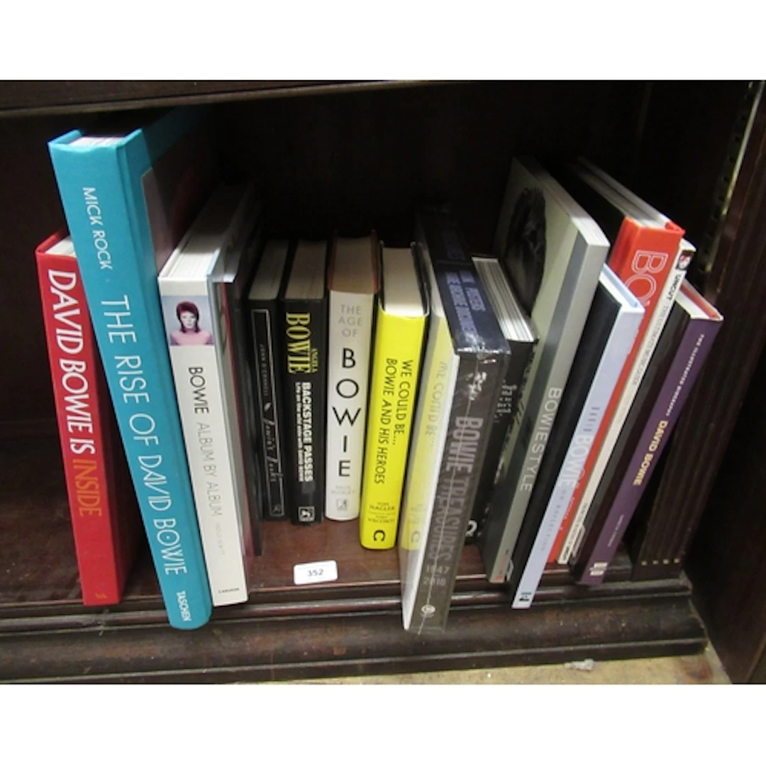 Quantity of David Bowie related books