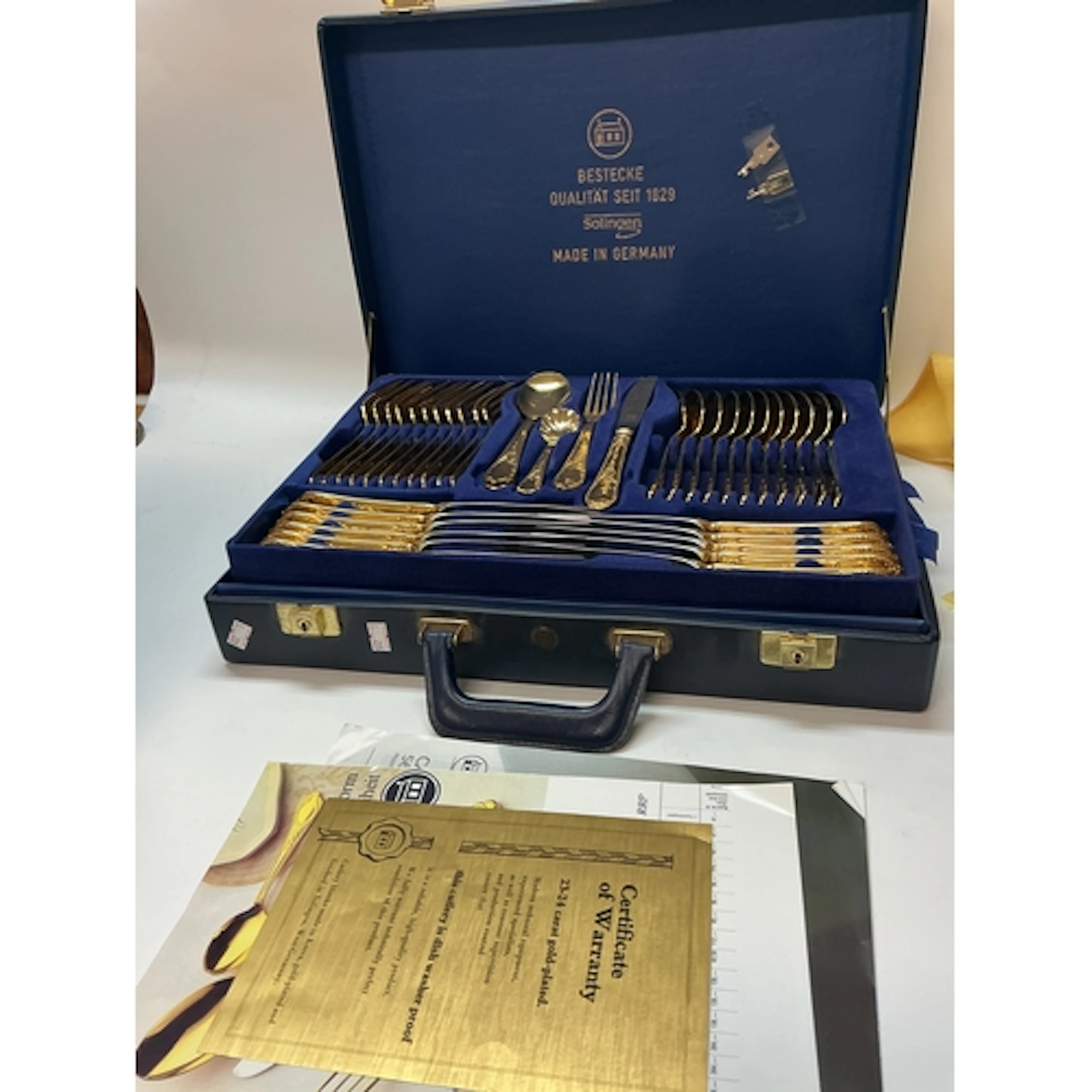 Solingen German canteen of cutlery
