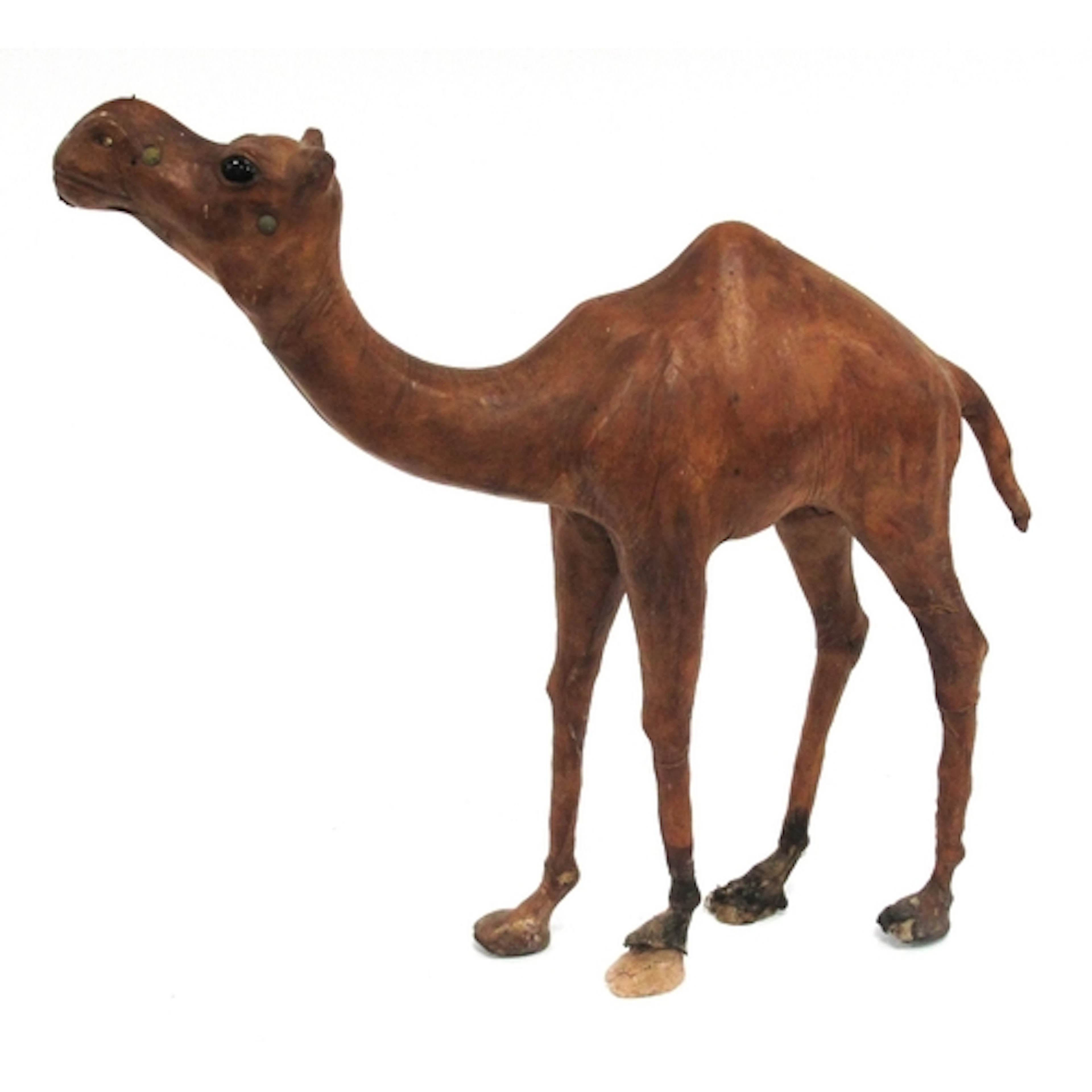 A leather model of a camel with glass eyes, in the Liberty o...