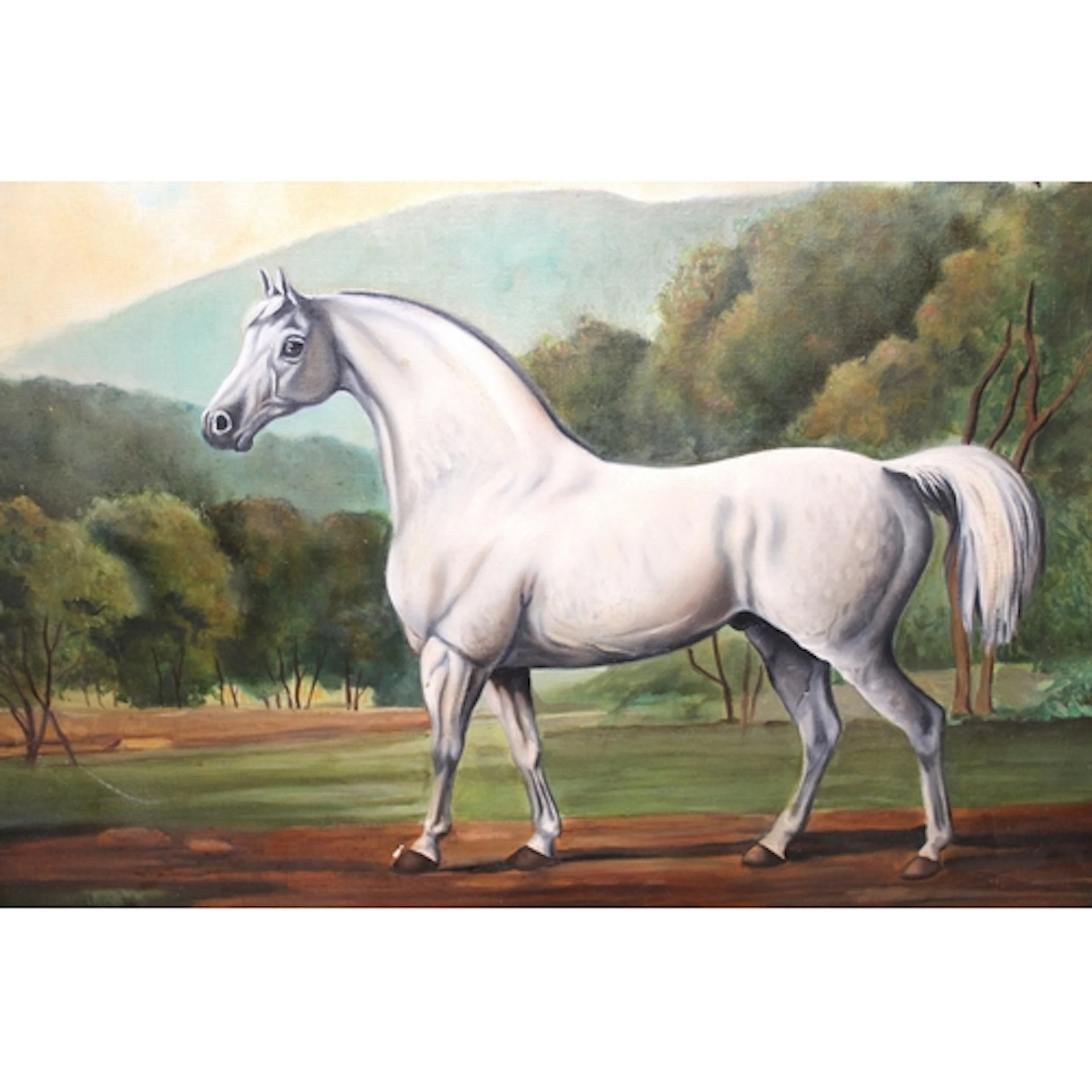20th Century oil on canvas, portrait of a grey stallion, Mam...