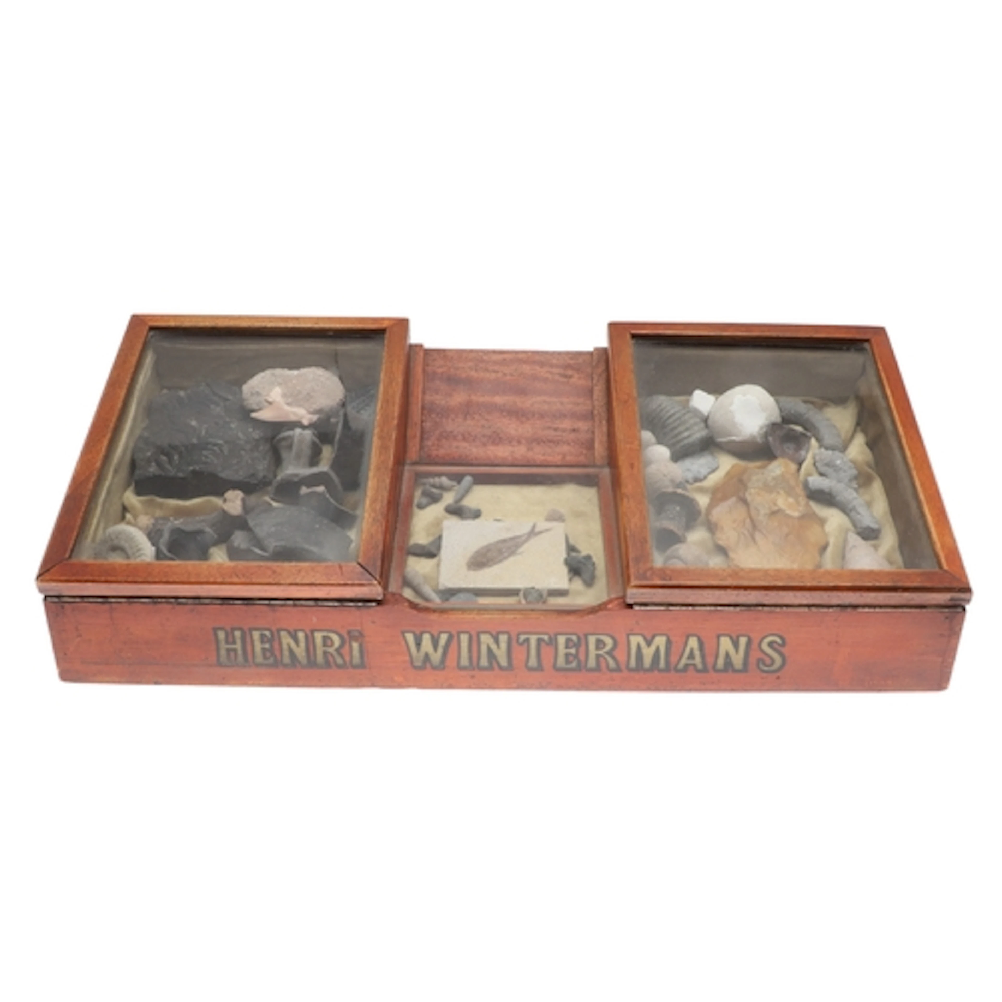 HENRI WINTERMANS - CIGAR SHOP DISPLAY CABINET, FOSSILS & EAR...