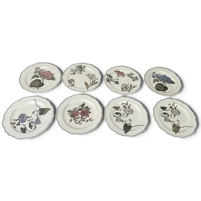 A SET OF EIGHT BOTANICAL PLATES