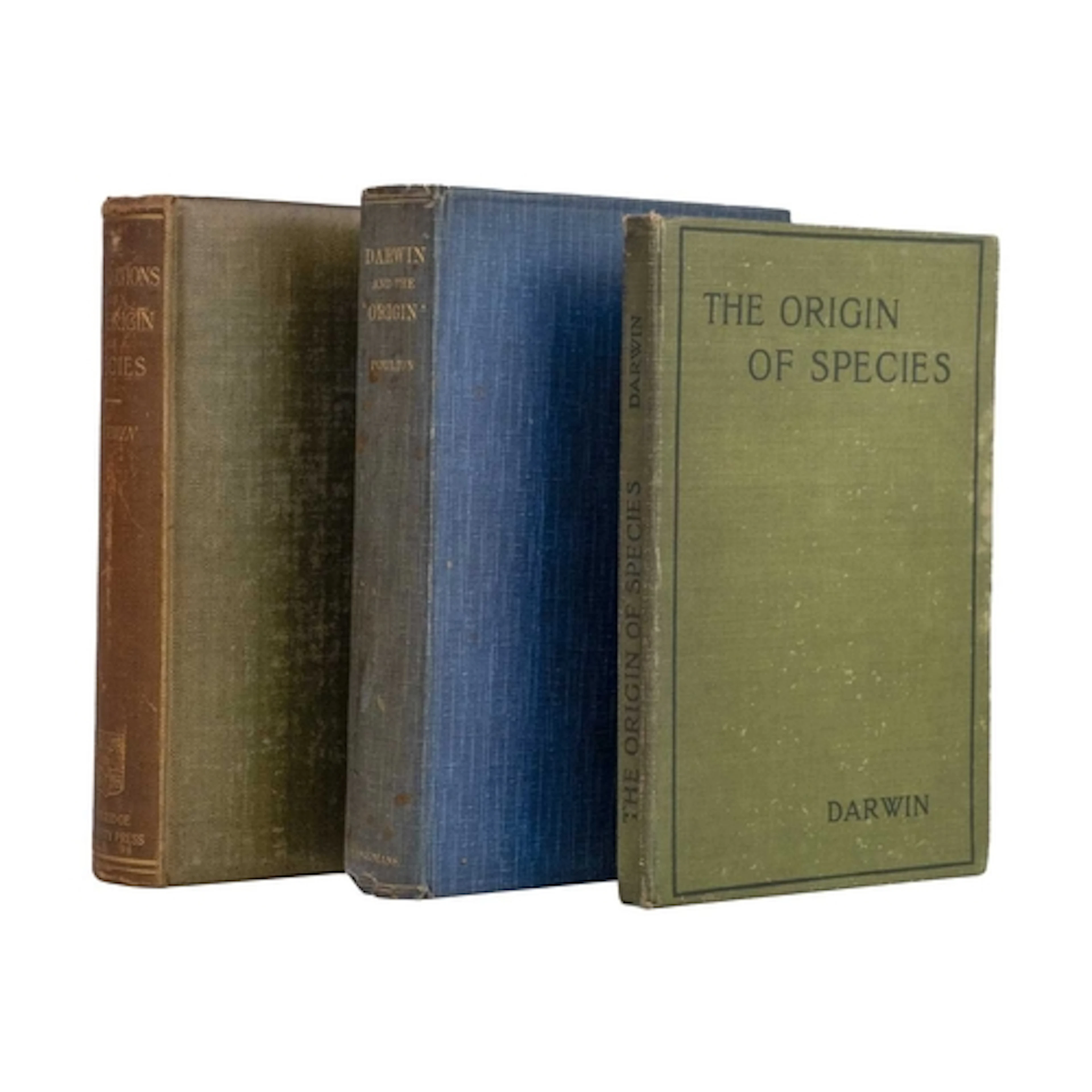 Charles Darwin. The Foundations of the Origin of Species. Fi...