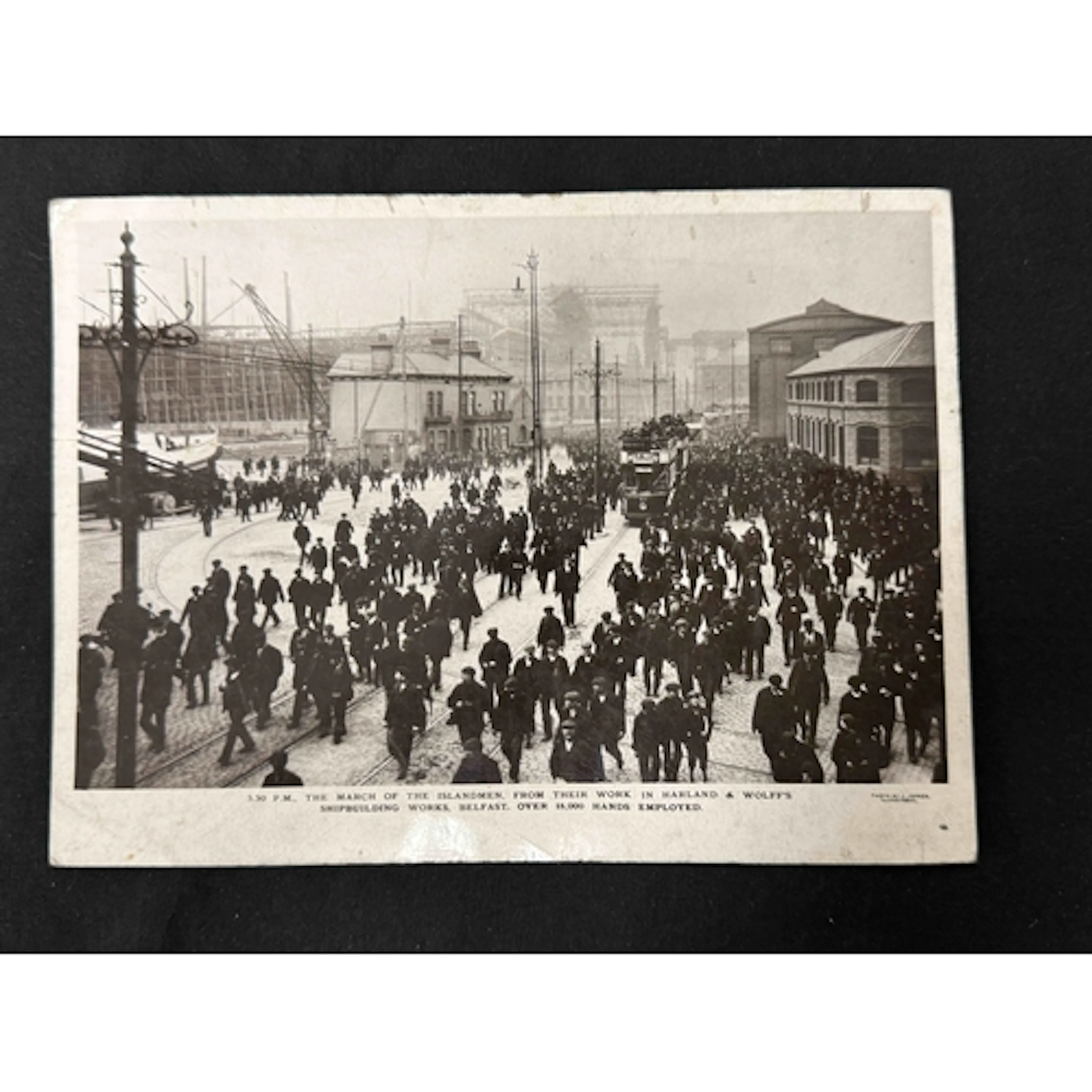R.M.S. Titanic: R.M.S. Titanic: Rare James Doherty of Belfa...