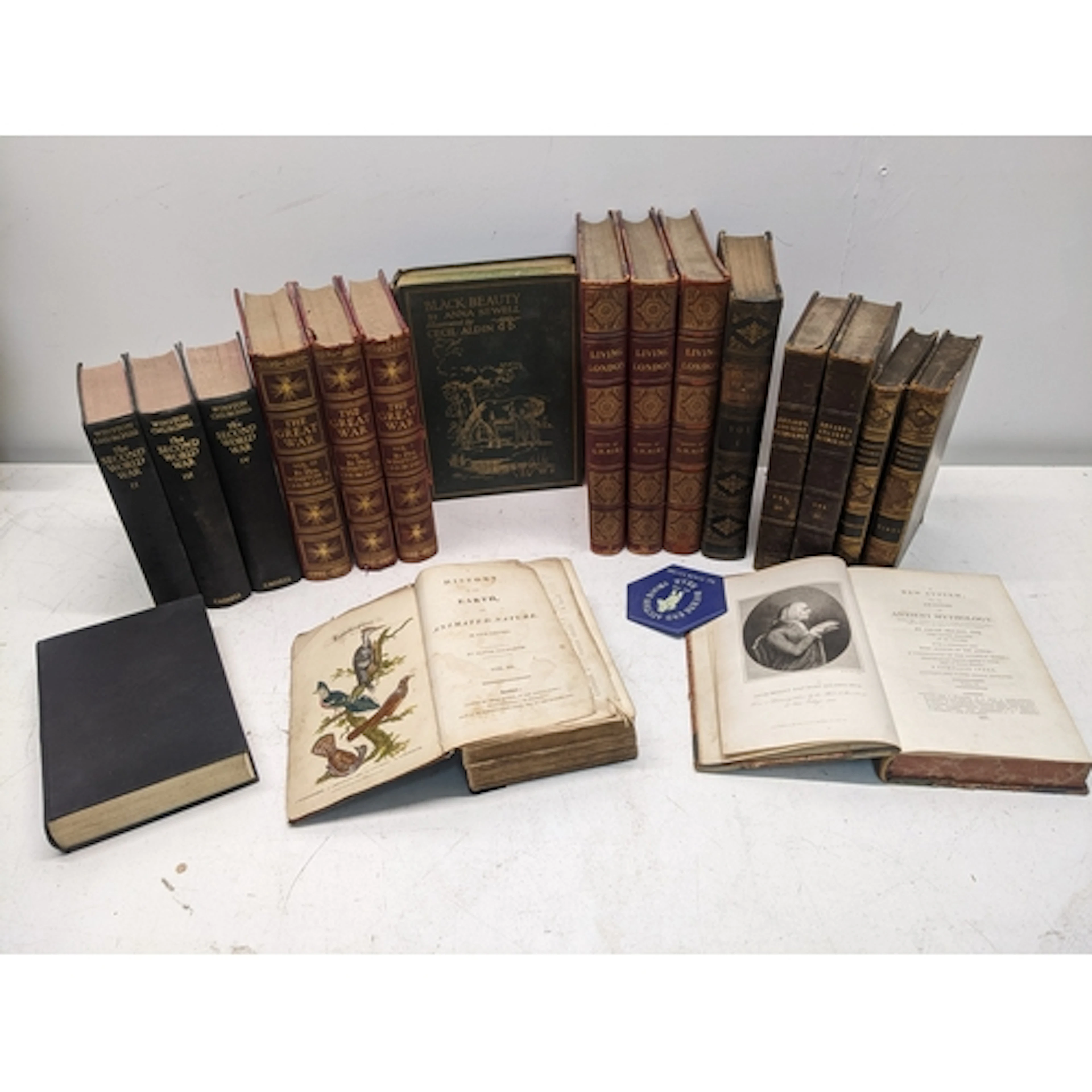 A quantity of leather and cloth bound antiquarian books to i...
