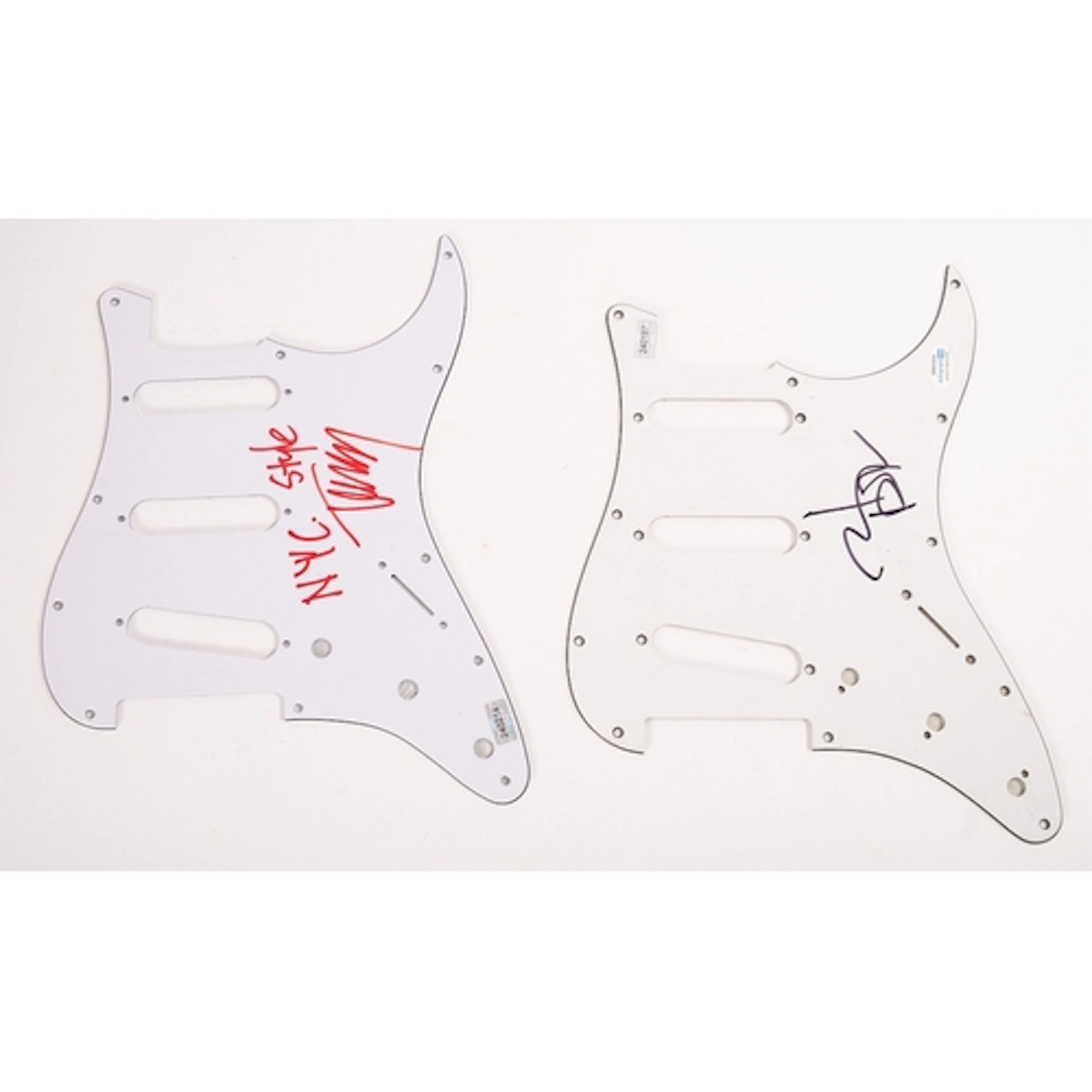 Vampires of Hollywood, two stratocaster style scratch plates...