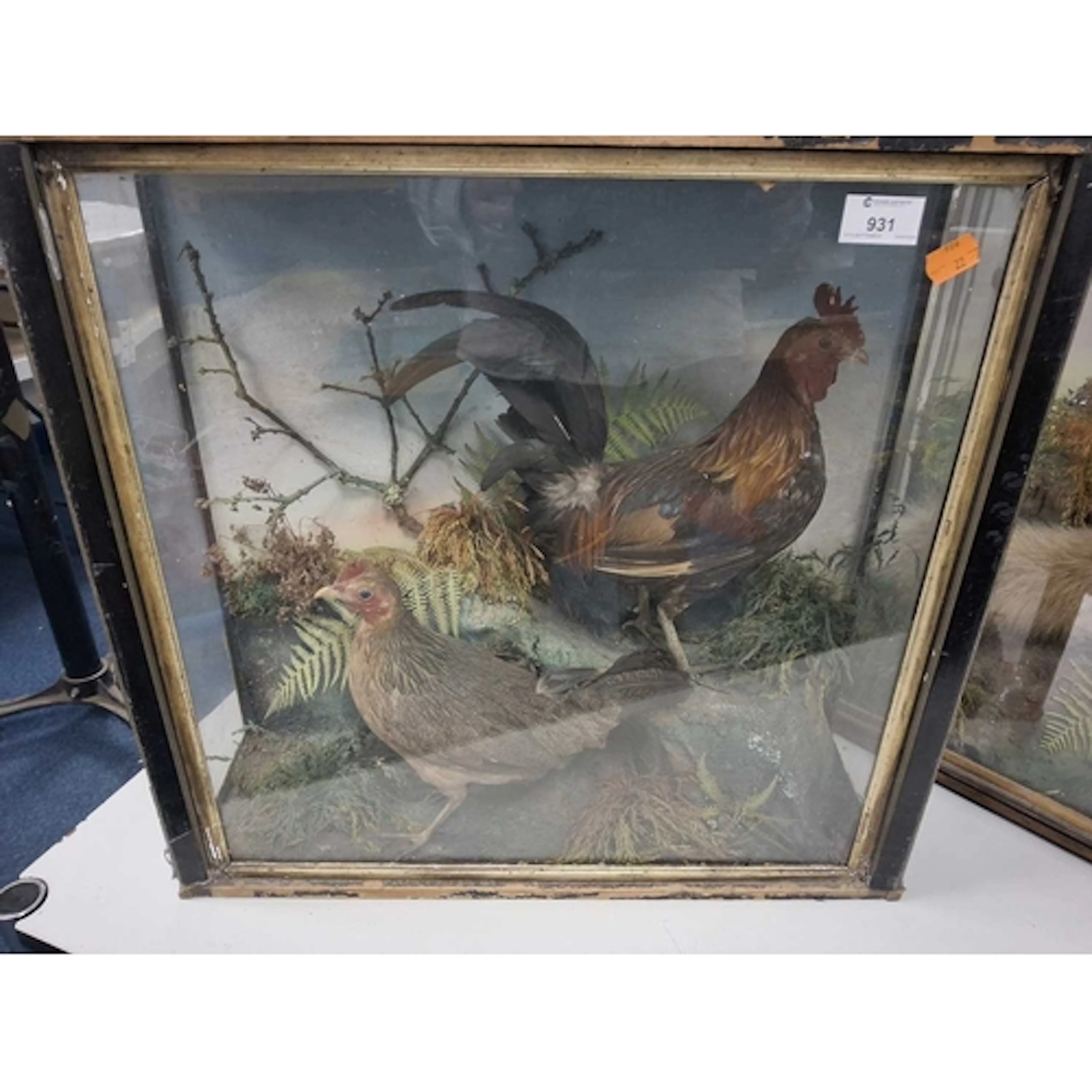 A VICTORIAN CASED TAXIDERMY STUDY OF A COCKEREL AND A HEN, c...