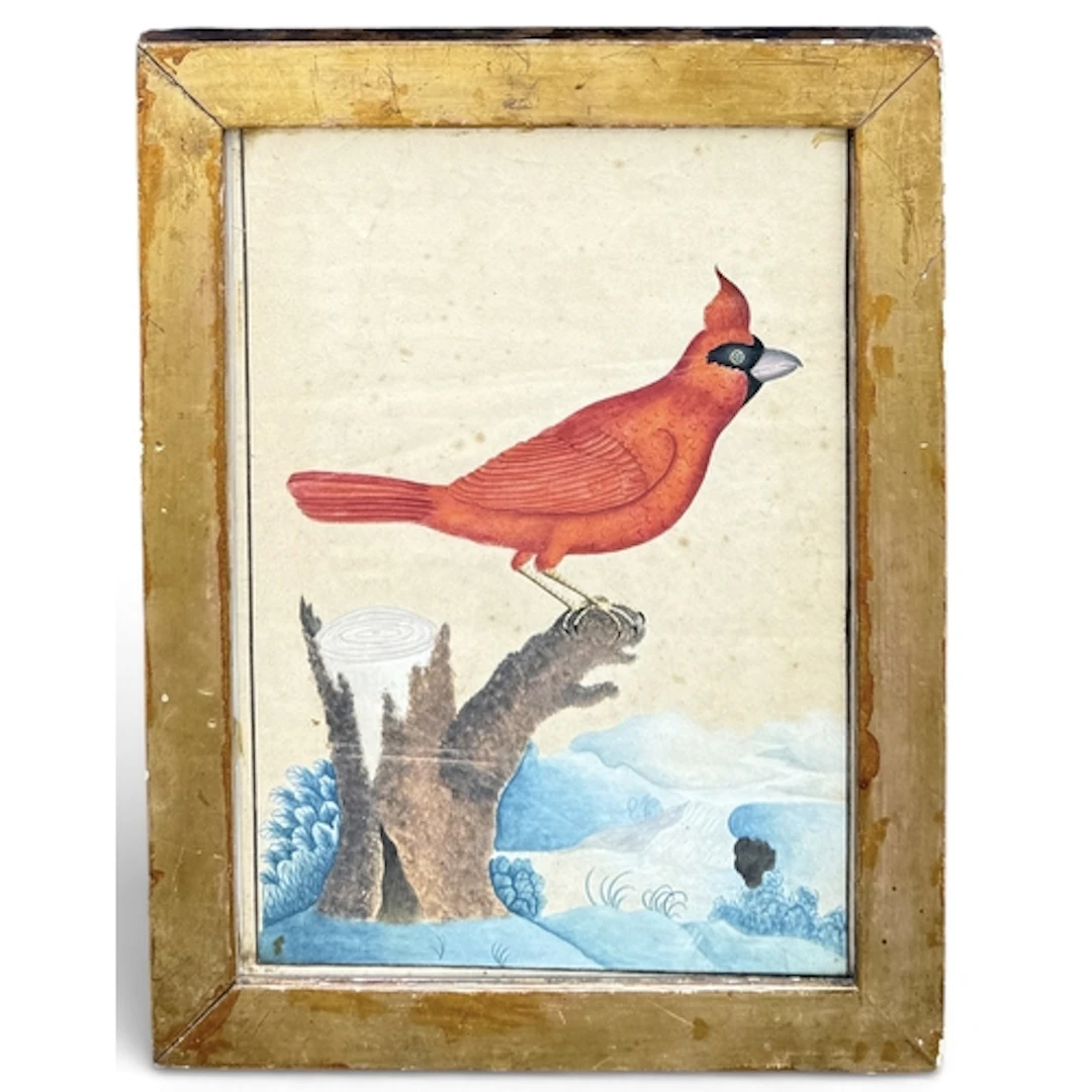 AN EARLY 19TH CENTURY NAIVE WATERCOLOUR OF A RED CARDINAL 30...