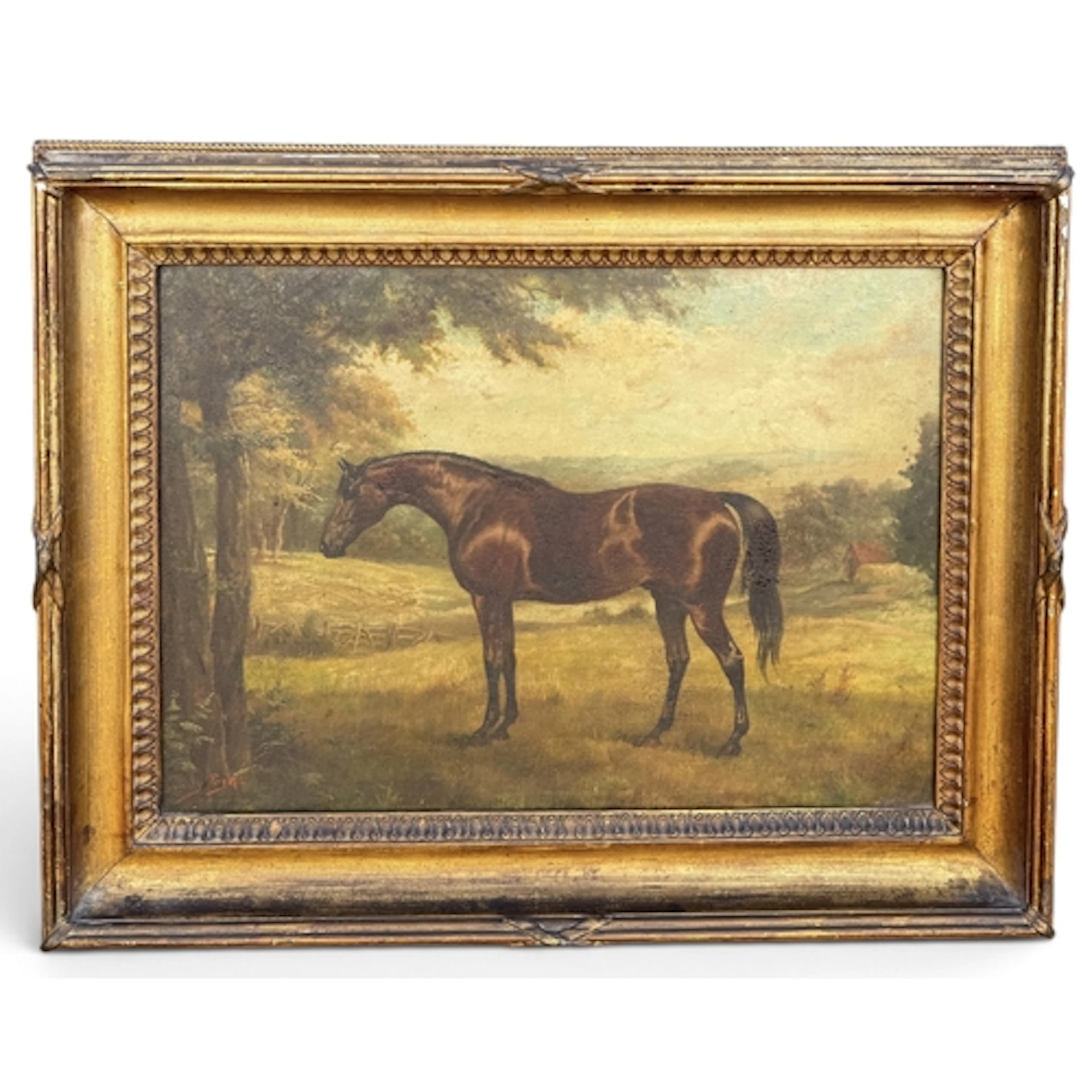 HARRY PAYNE (1858-1927): CHESTNUT HORSE Oil on canvas. 34.5c...