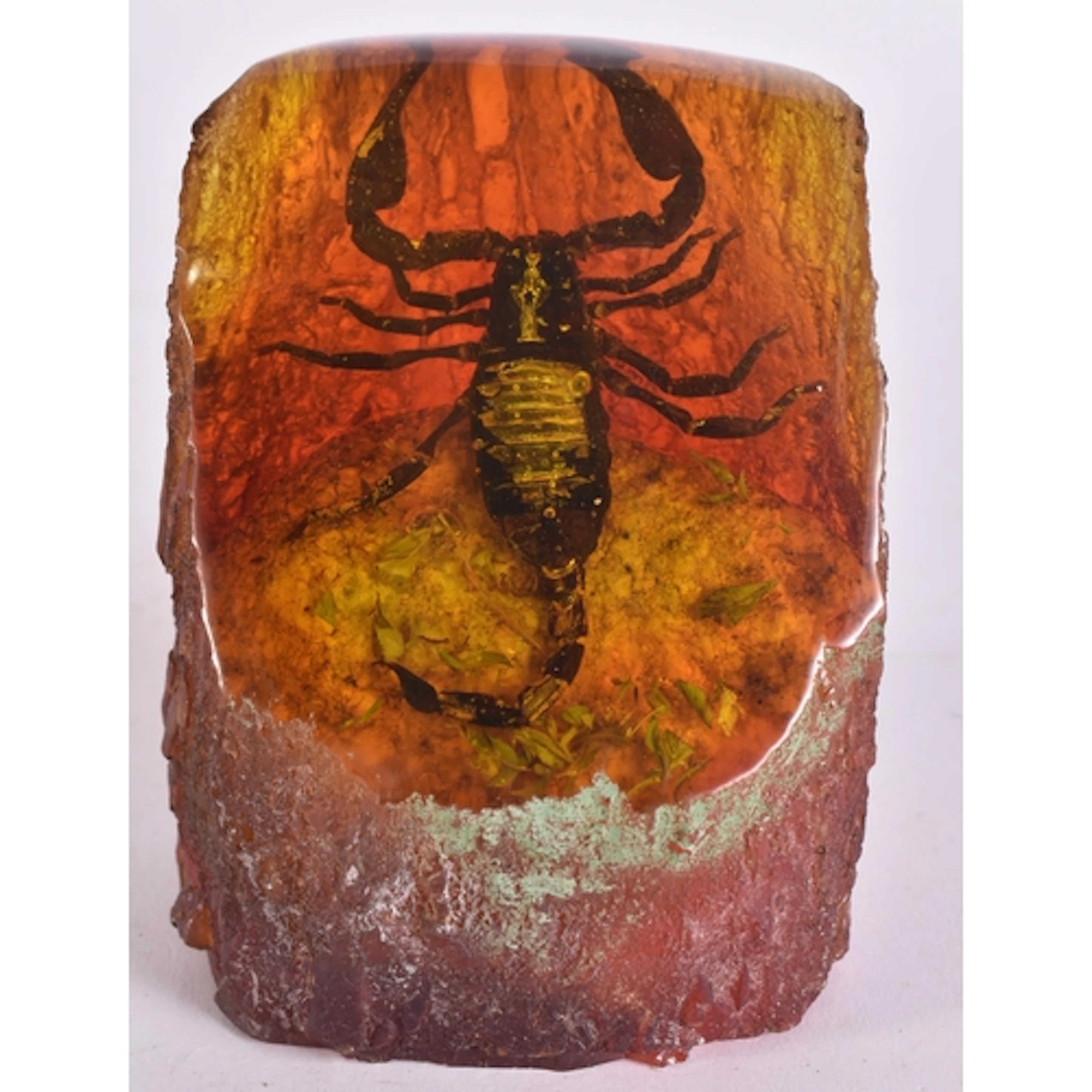 A NATURAL BUG SCULPTURE. 12 cm x 7 cm.