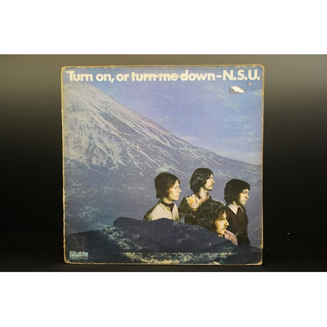 Vinyl - N.S.U. – Turn On, Or Turn Me Down LP on Stable Reco...