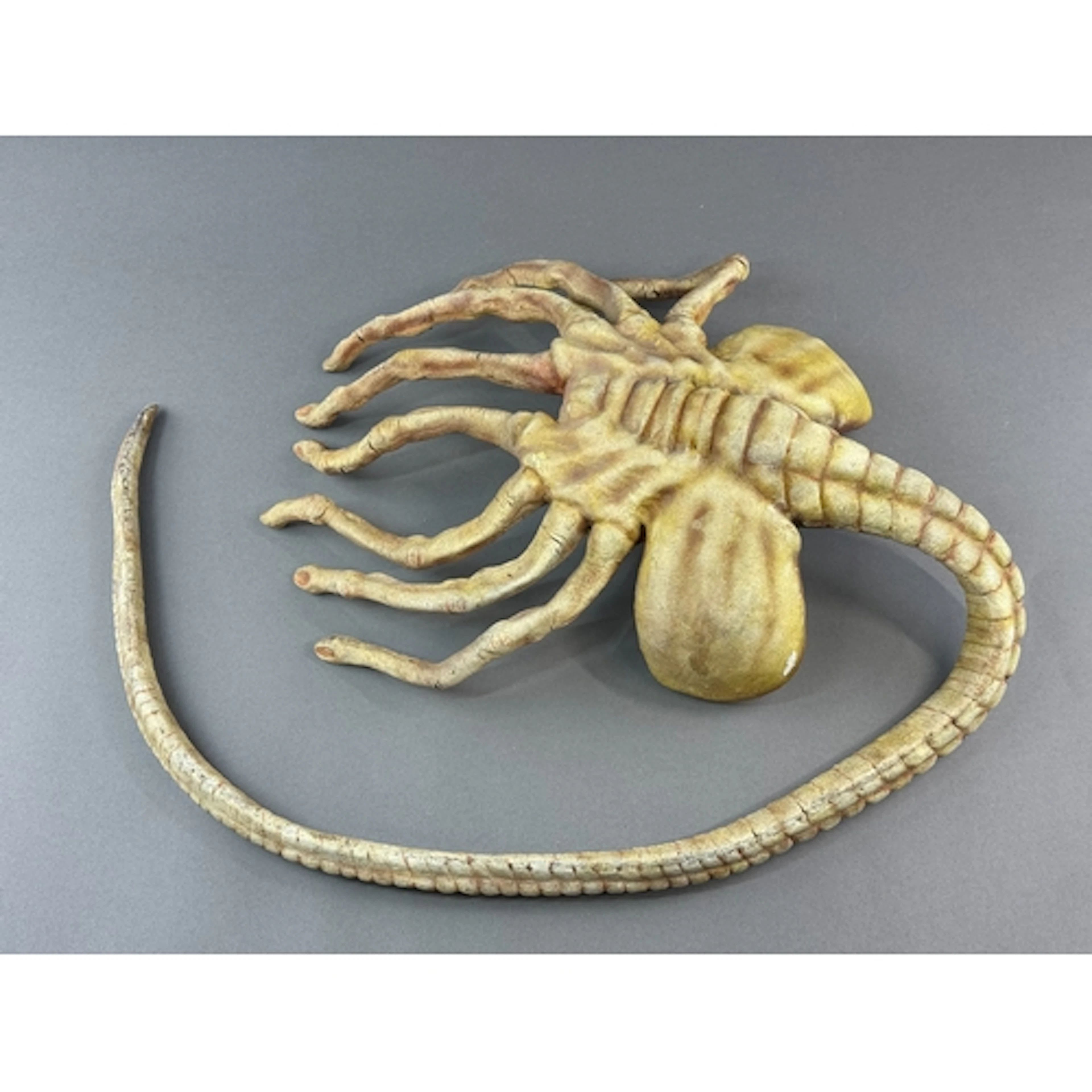 Movies: A stunt model facehugger from James Cameron's sequel...