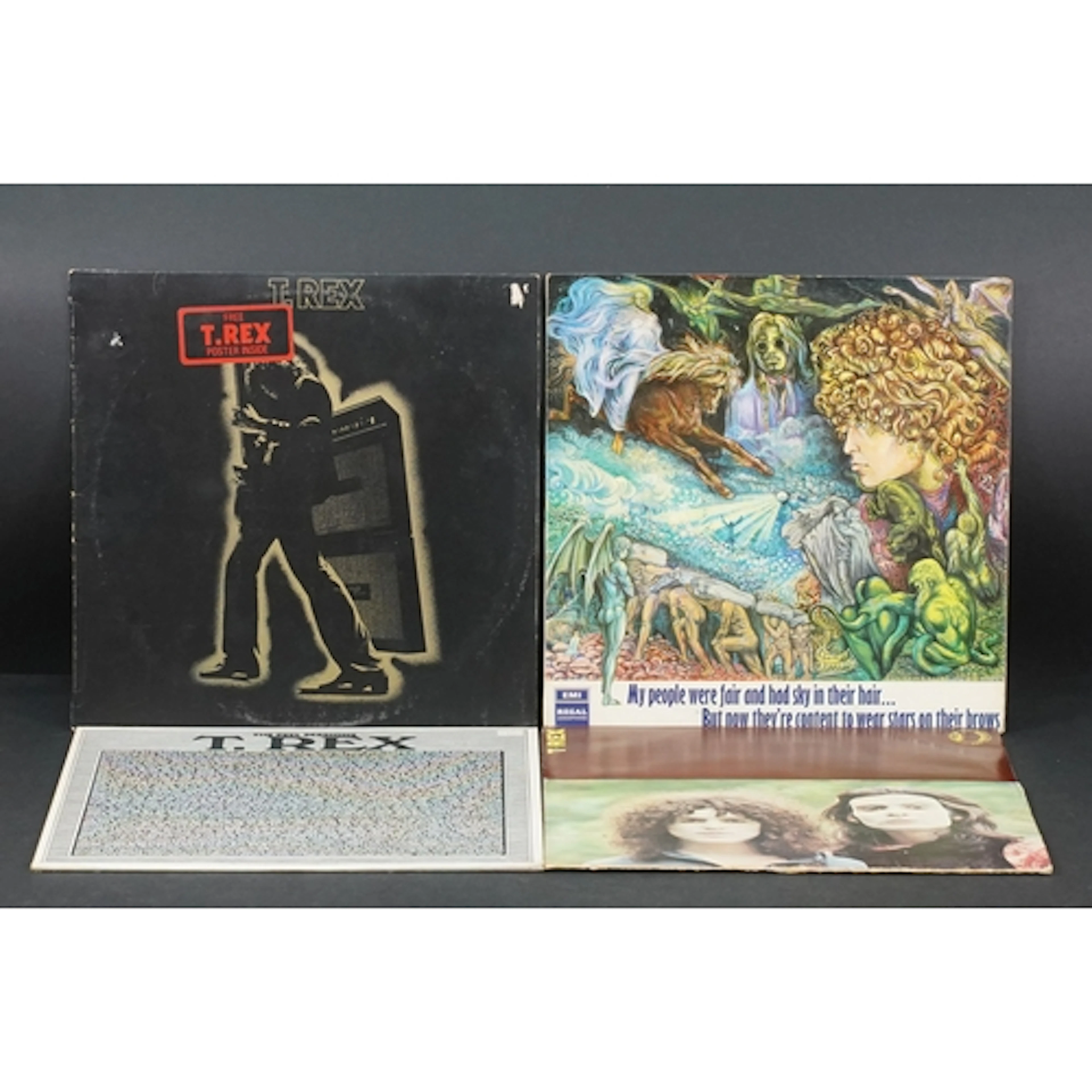 Vinyl - 3 Tyrannosaurus Rex / T. Rex LP’s and one 12” to inc...