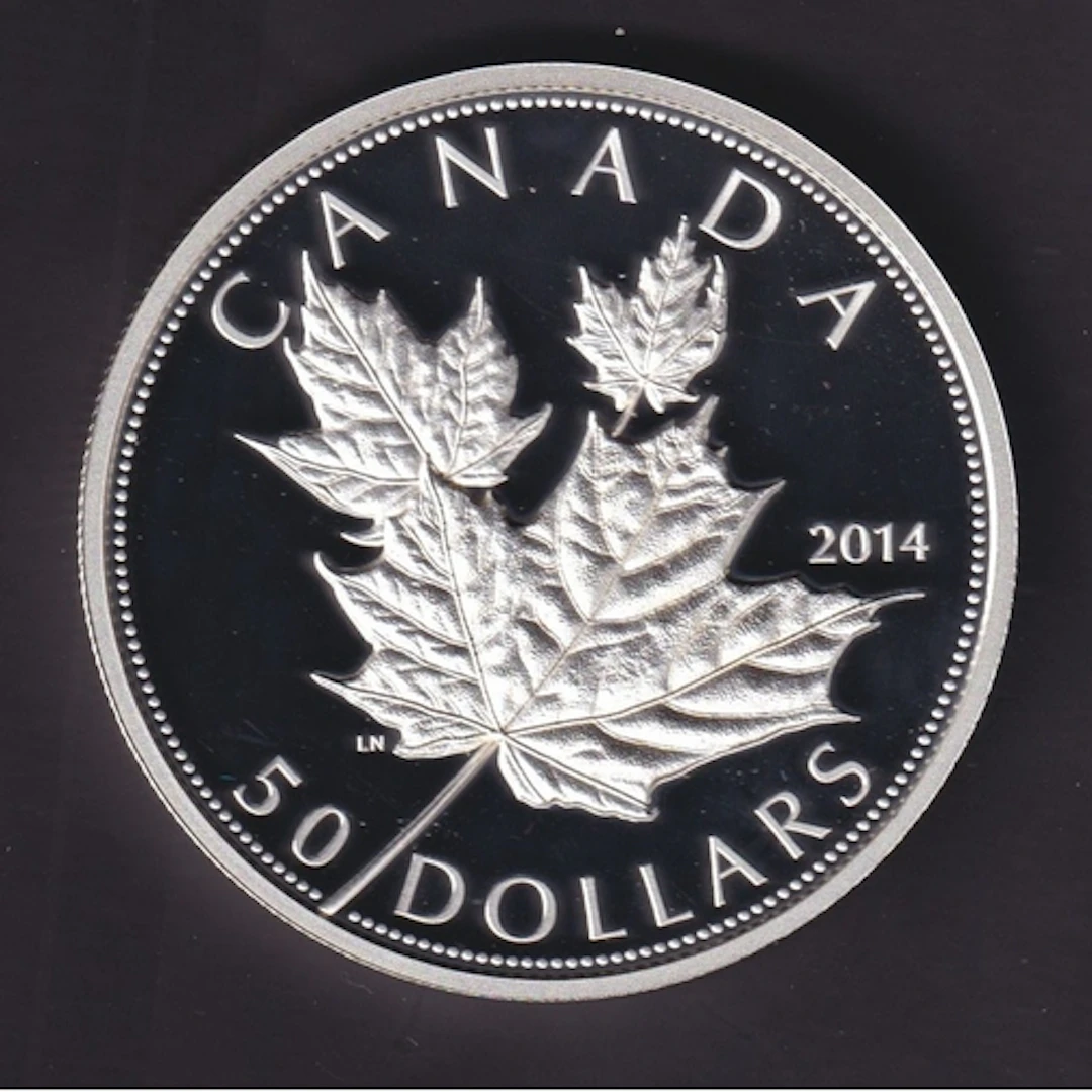 Canada 2014 Maple Leaves, $50 Silver Proof coin, struck in 9...